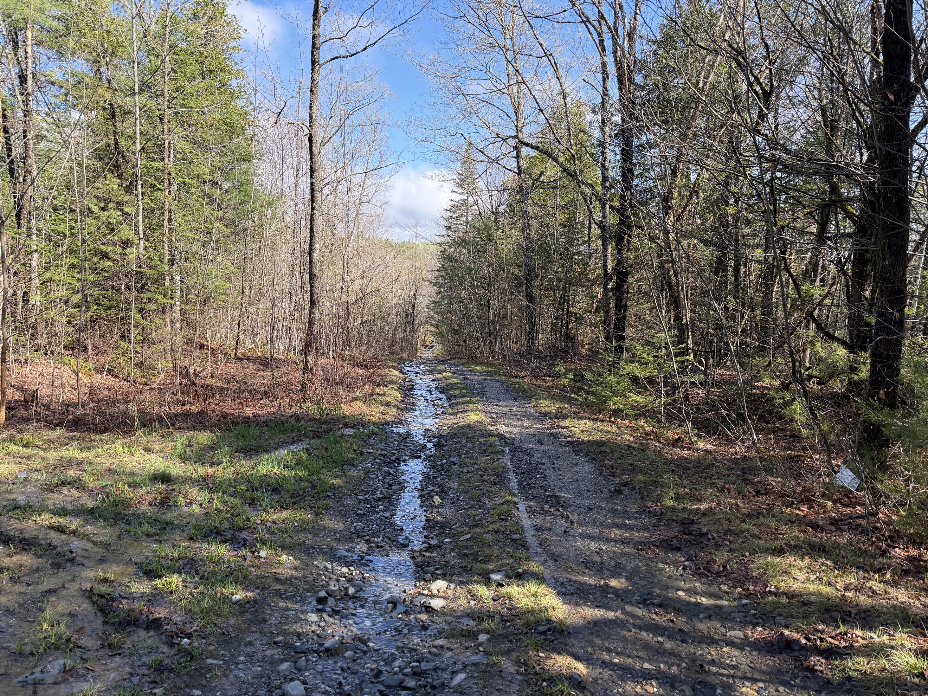 46 Kittridge Hill Road Property Photo 4