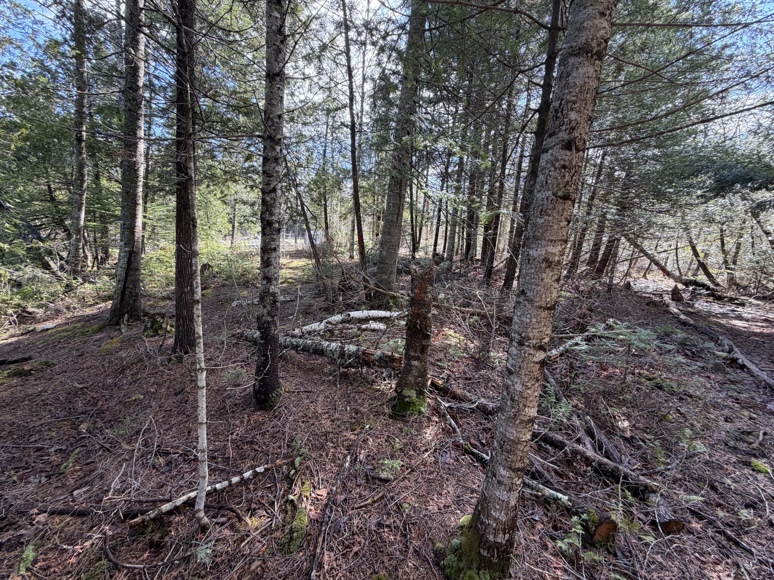 46 Kittridge Hill Road Property Photo 13