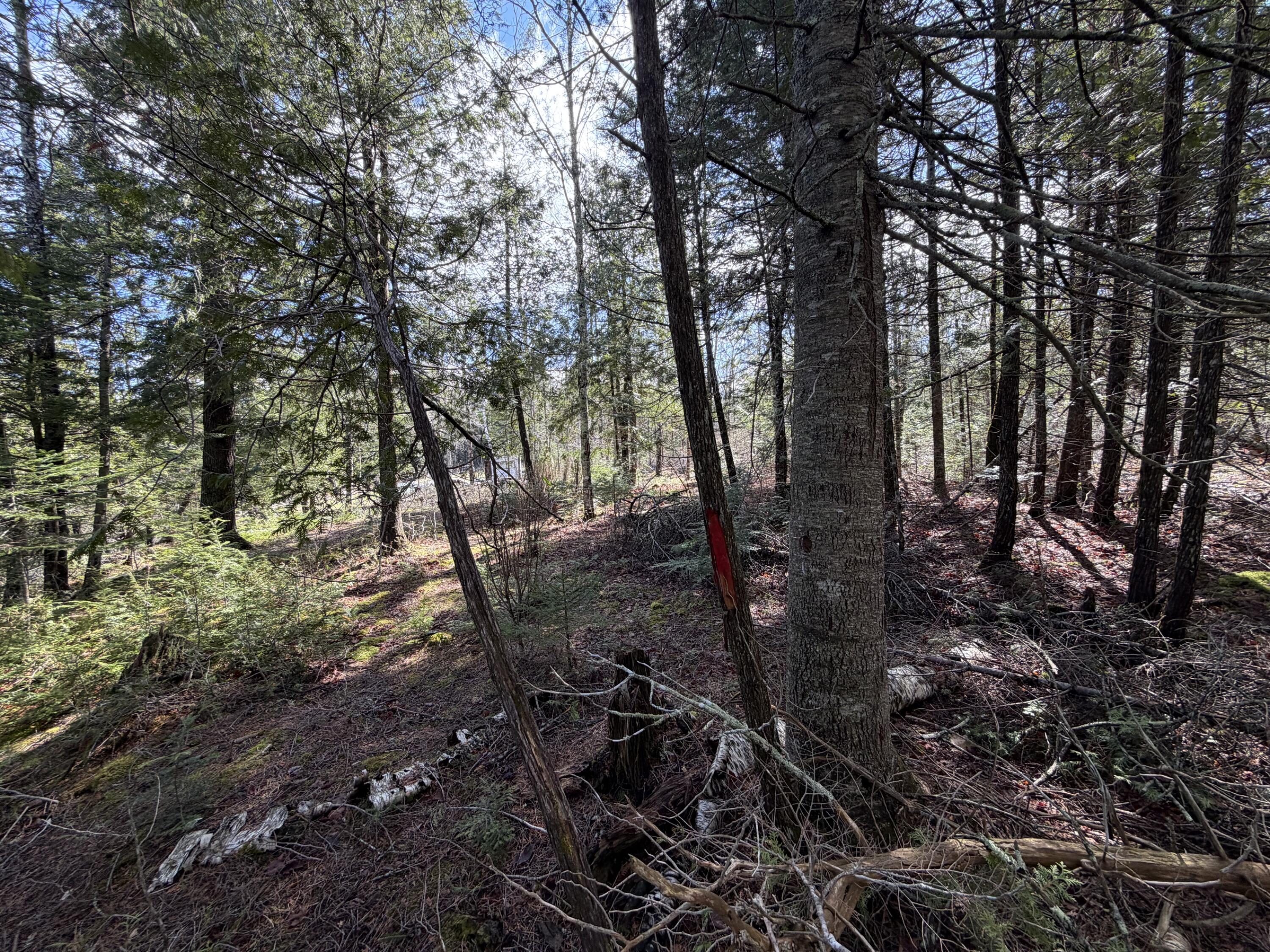 46 Kittridge Hill Road Property Photo 14
