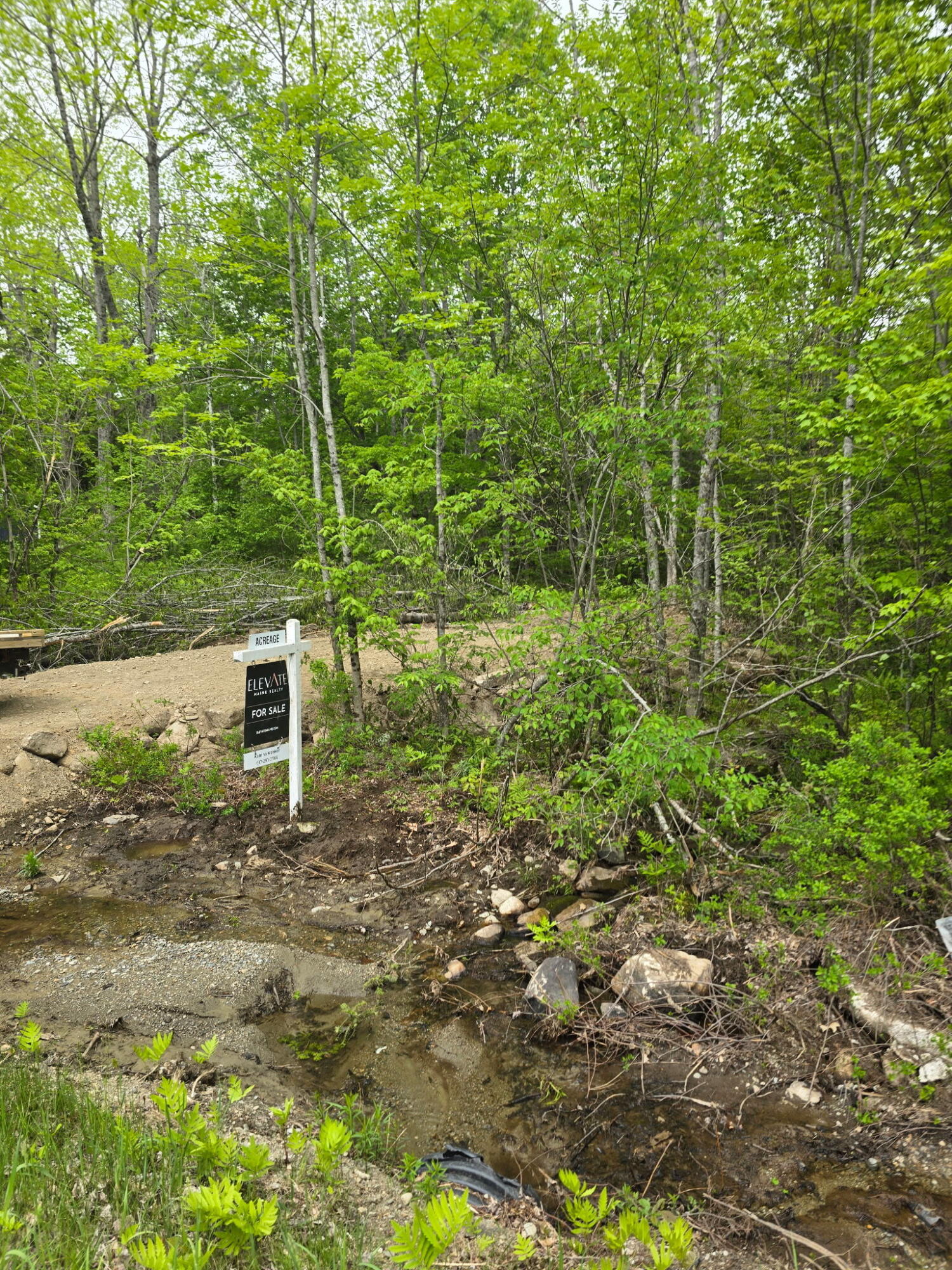 Lot 33 Map 04 Bog Hill Road Property Photo 1