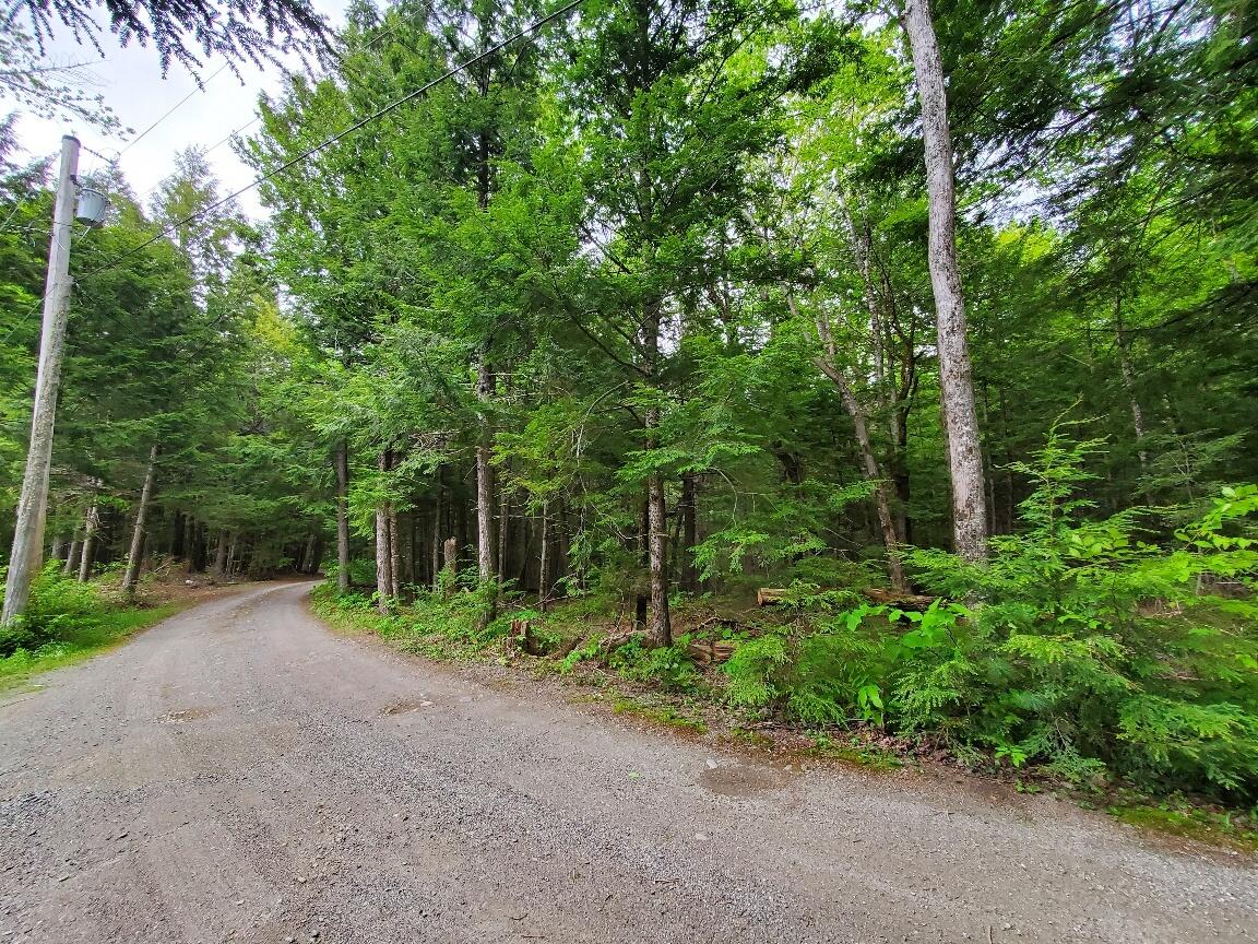 Lot 7 Heath Road Property Photo 5