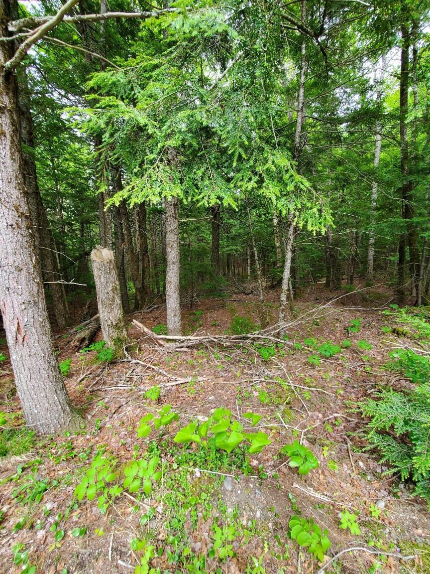 Lot 7 Heath Road Property Photo 7