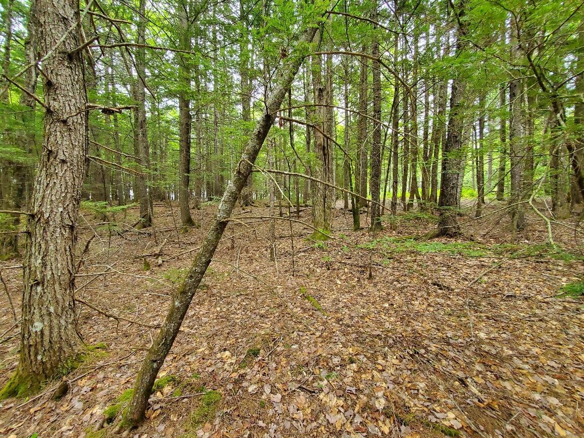 Lot 7 Heath Road Property Photo 10