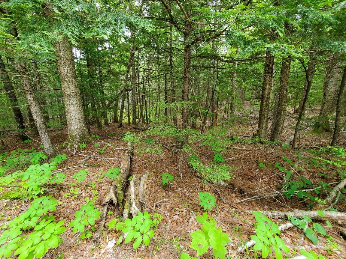 Lot 7 Heath Road Property Photo 21