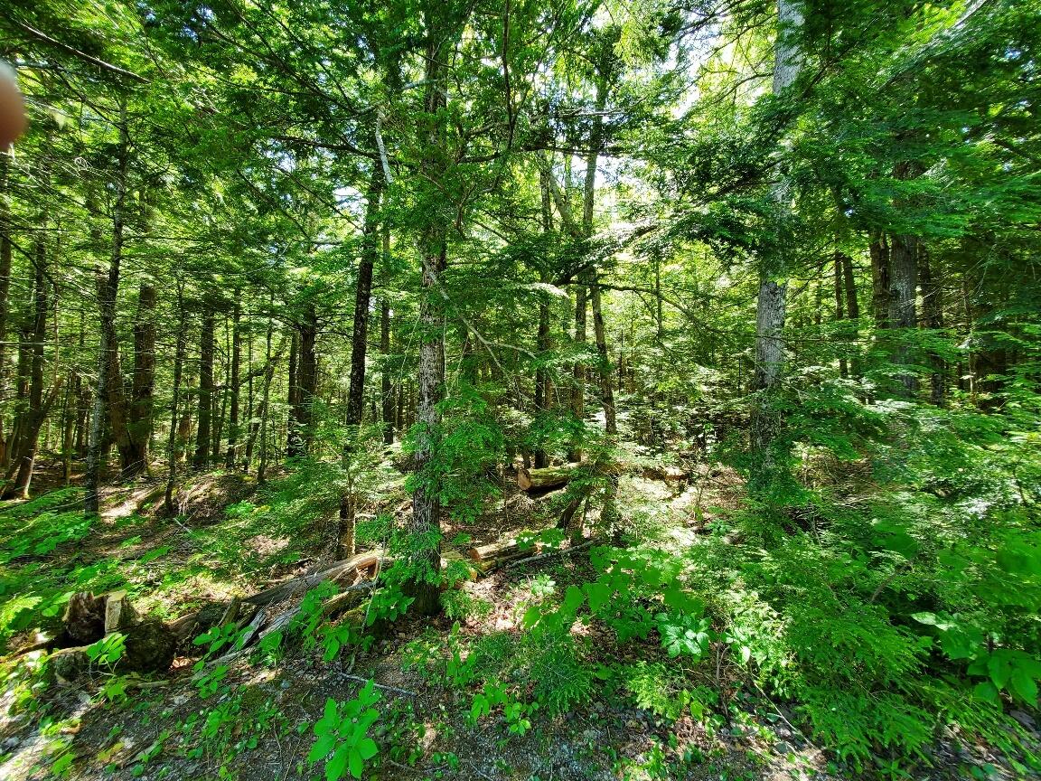 Lot 7 Heath Road Property Photo 25