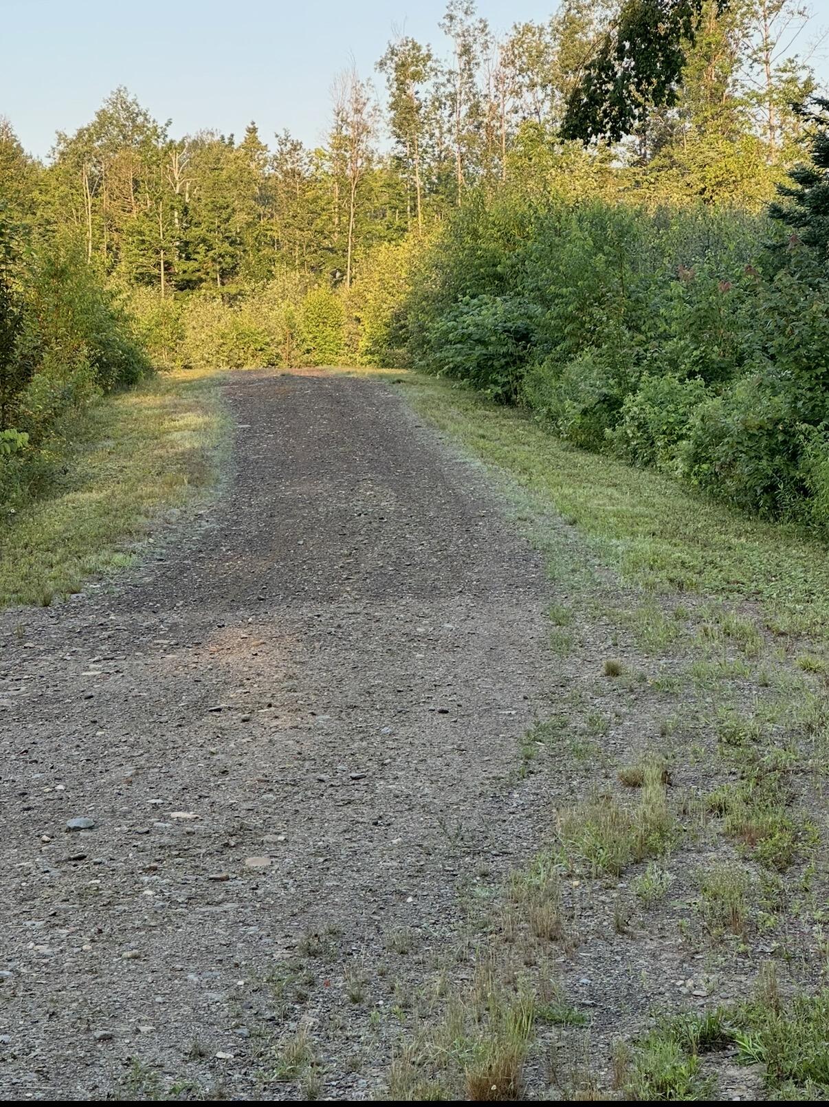 Off North Road Property Photo 8