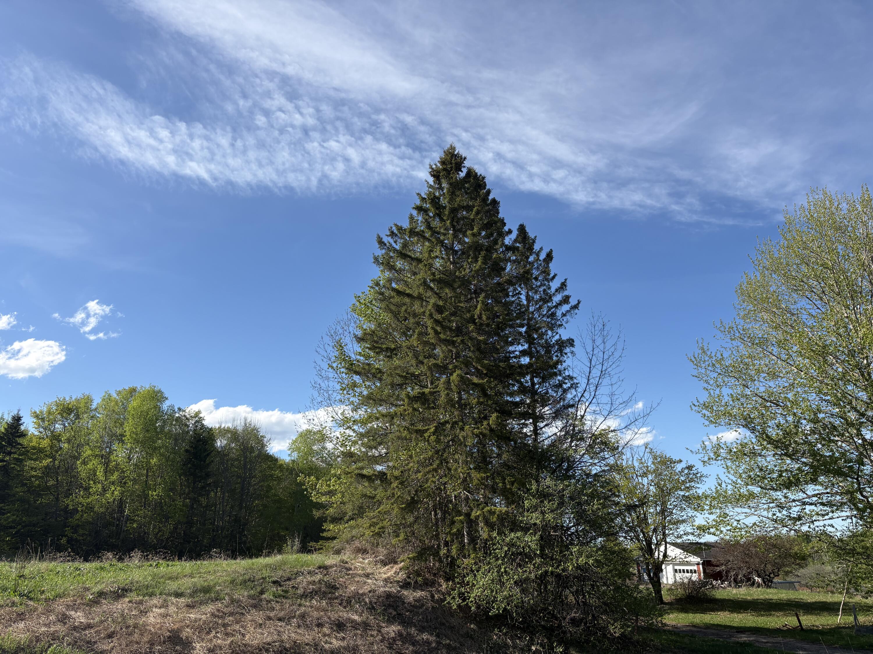330 Presque Isle Road Property Photo 4