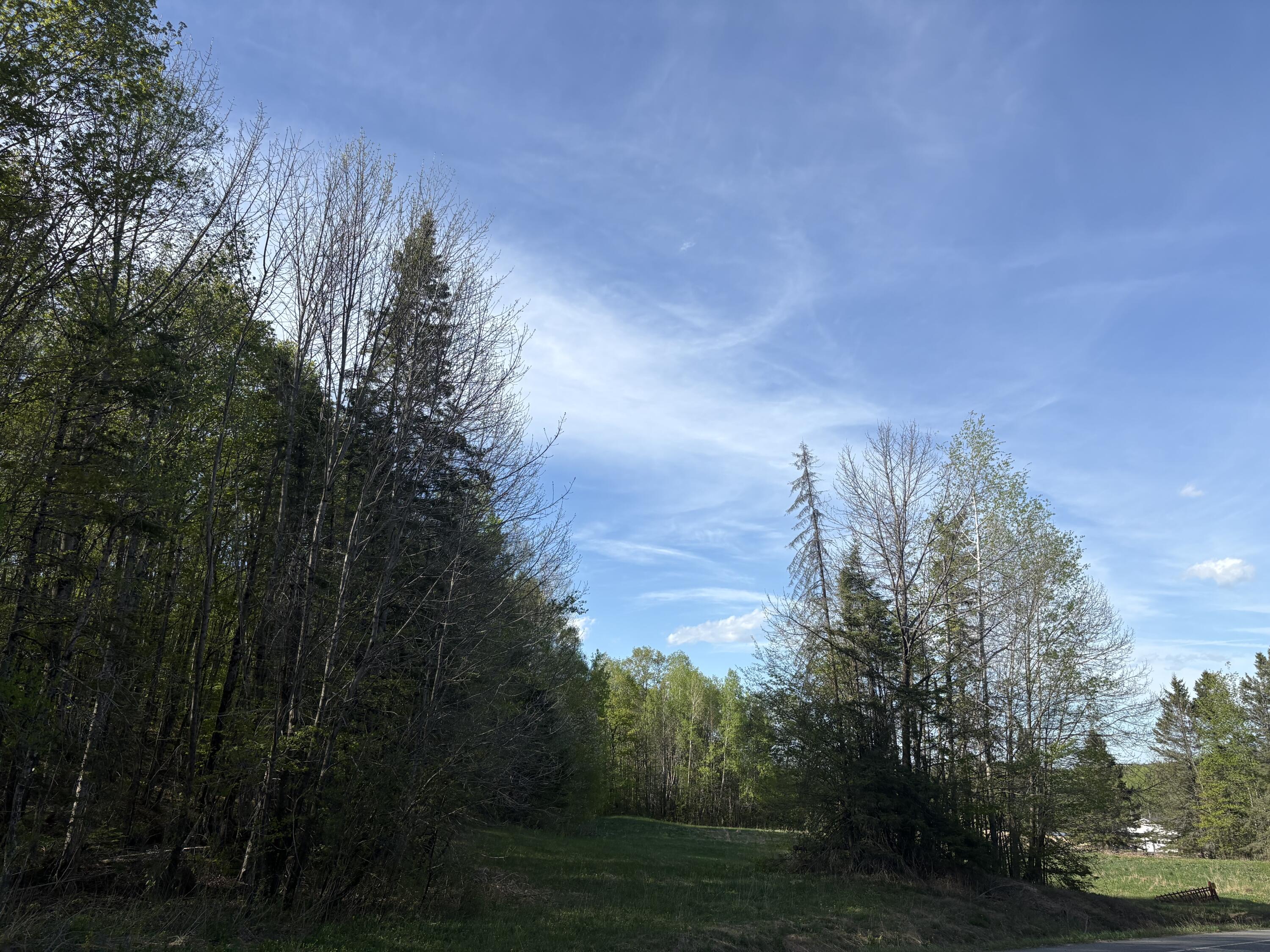 330 Presque Isle Road Property Photo 6