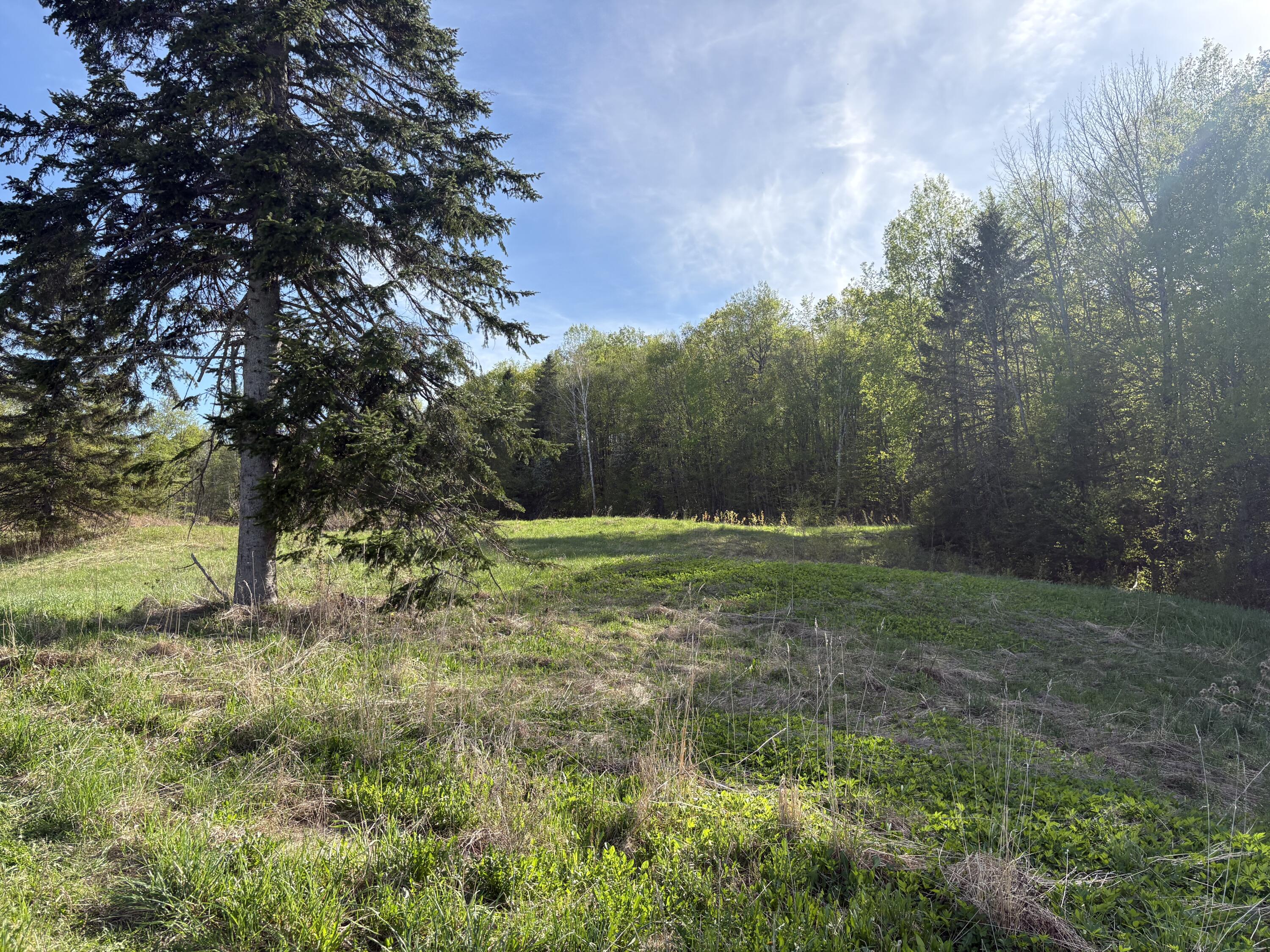 330 Presque Isle Road Property Photo 19