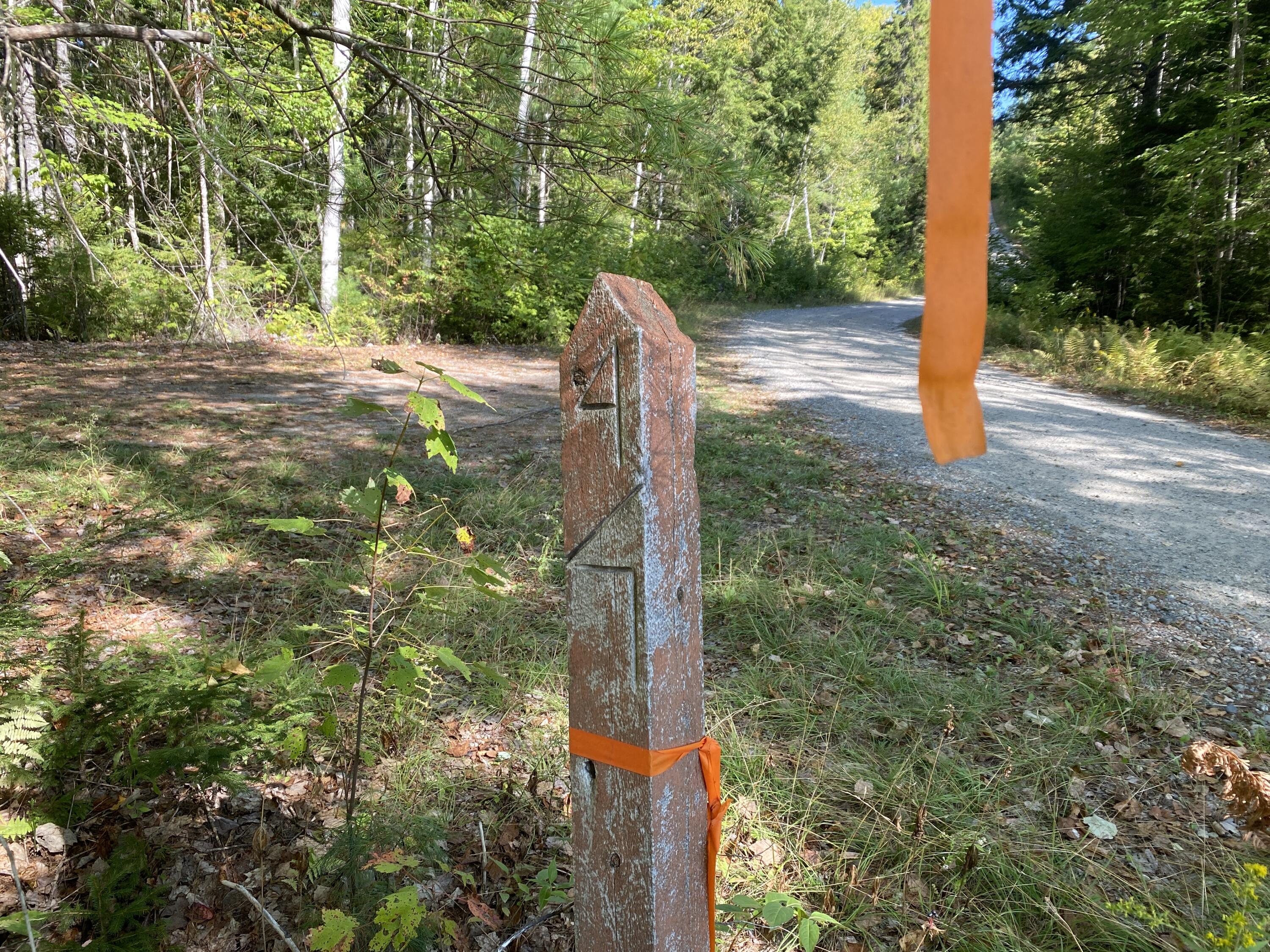 M06-lot18b Sys Road Property Photo 3