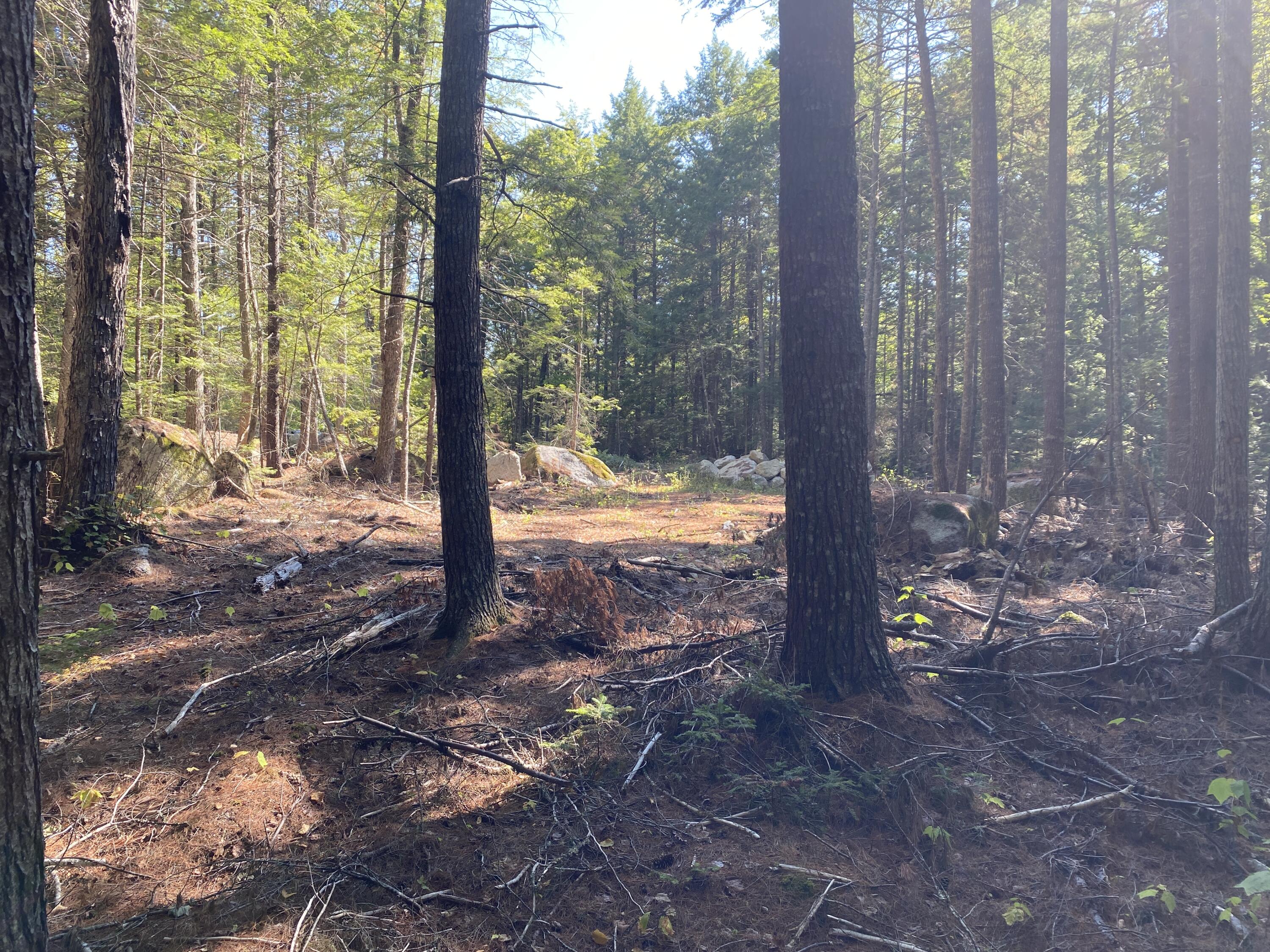 M06-lot18b Sys Road Property Photo 7