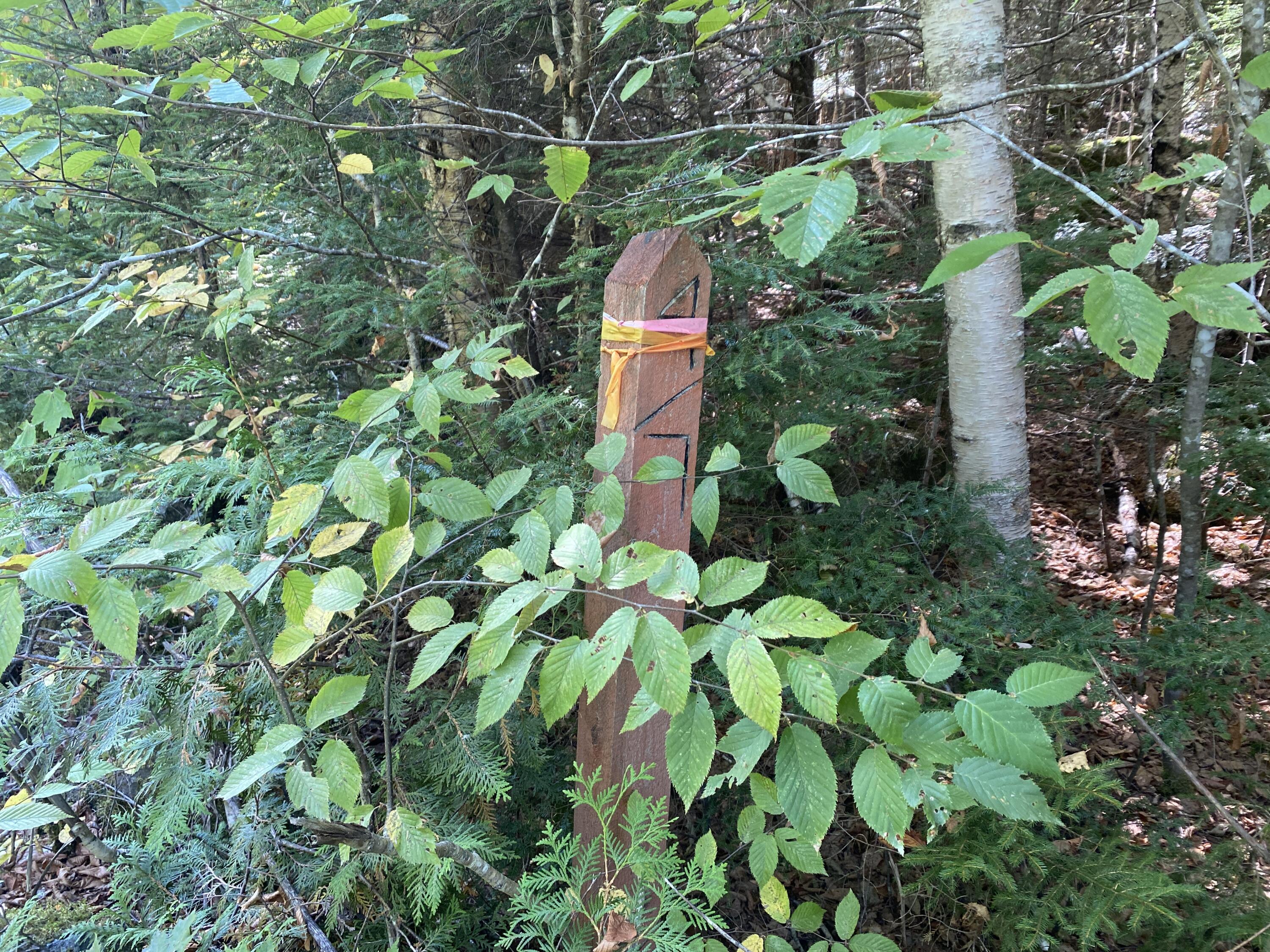M06-Lot18A Sys Road Property Photo 1