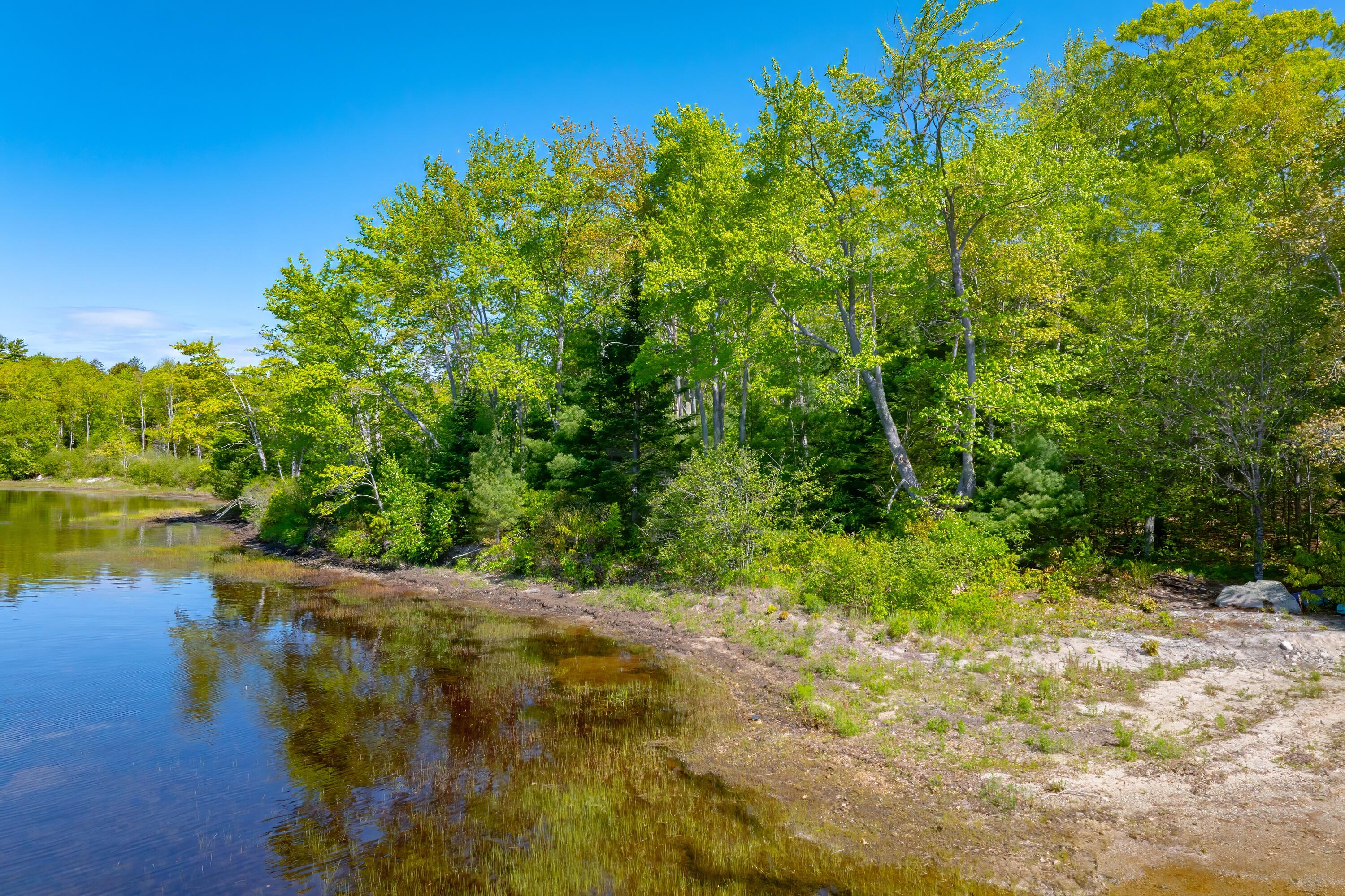 Lot #14 Patten Way Property Photo 5
