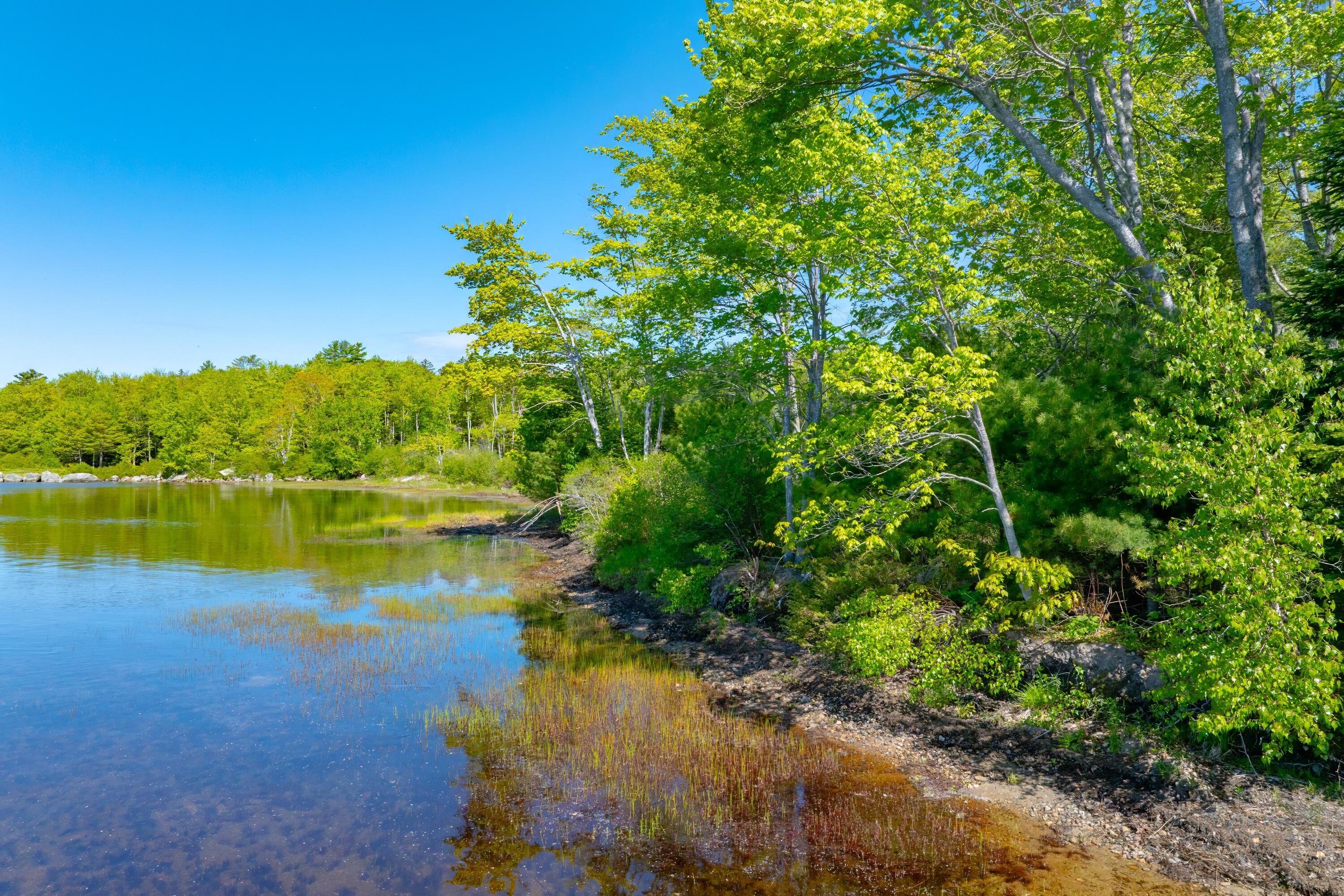 Lot #14 Patten Way Property Photo 6