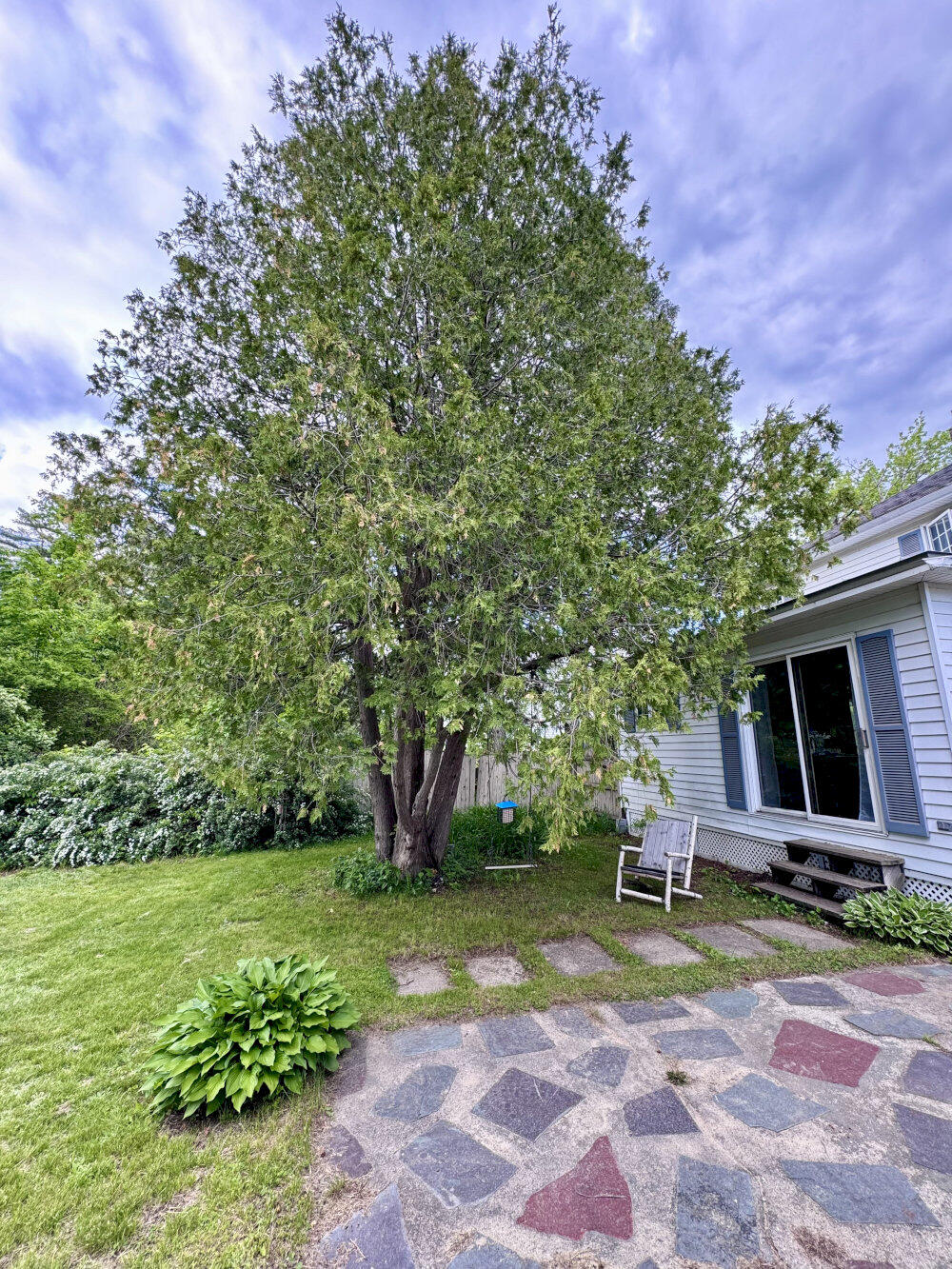 136 North Avenue Property Photo 8