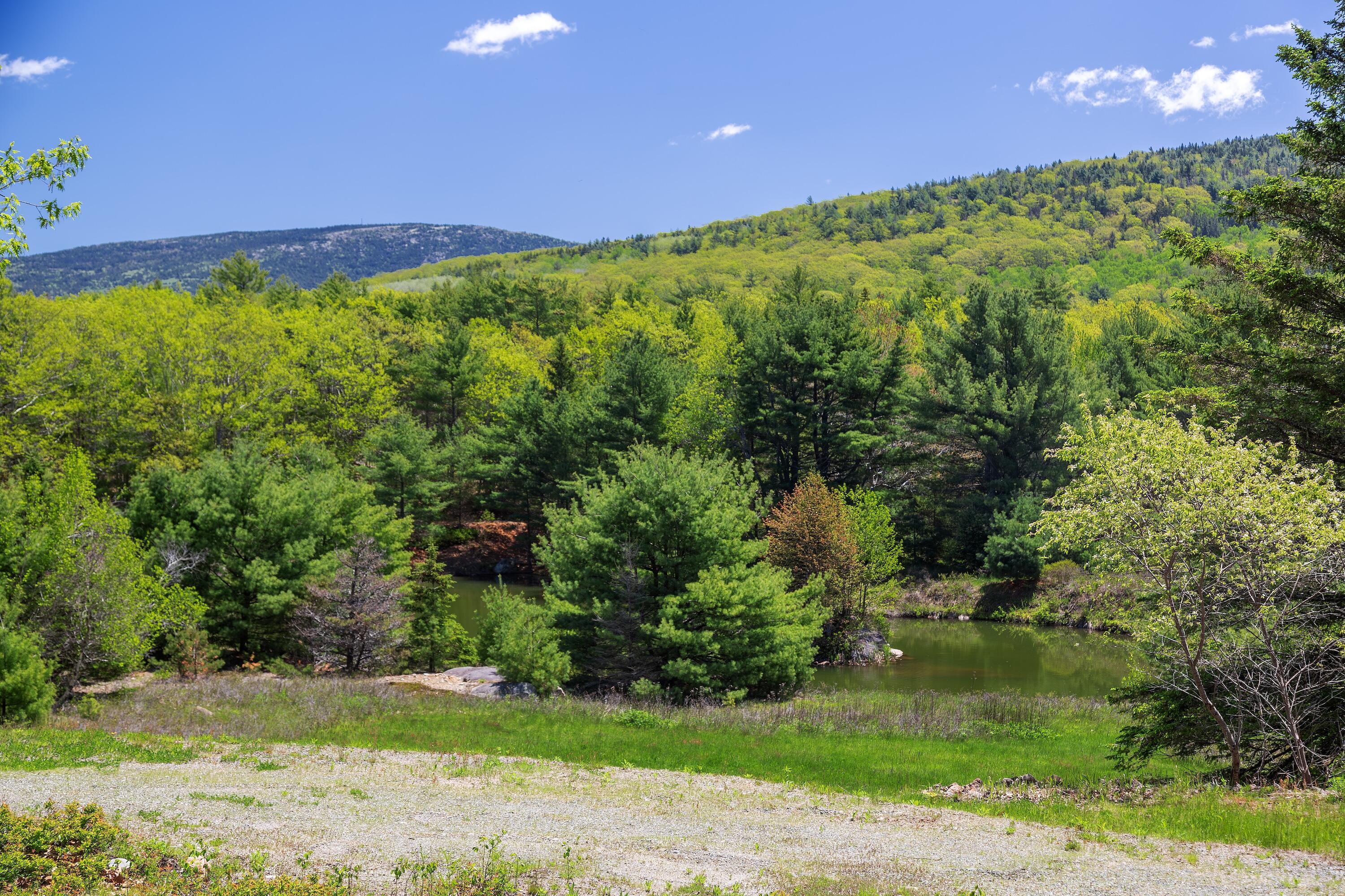 108 Stanley Mountain Road Property Photo 1