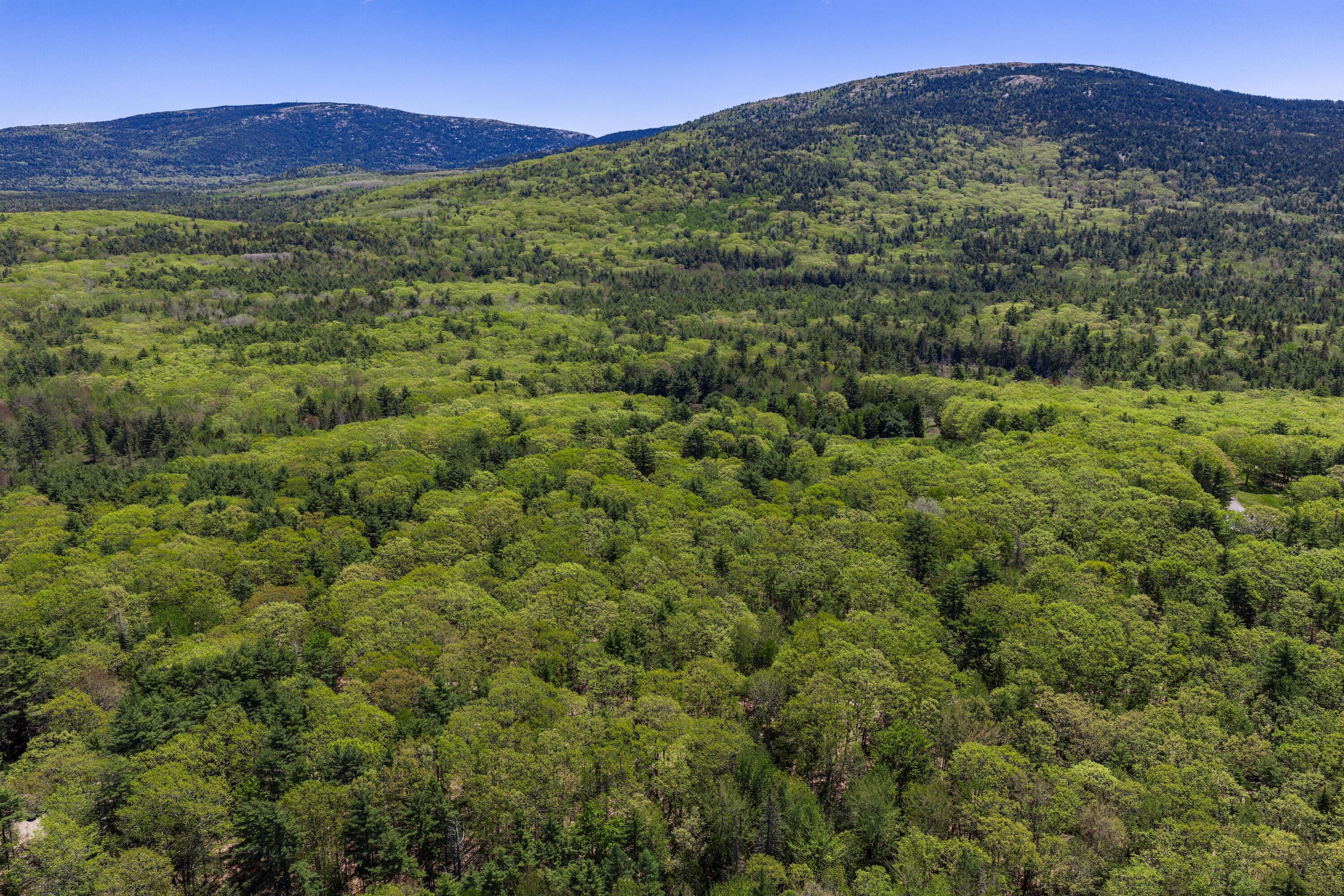 108 Stanley Mountain Road Property Photo 5