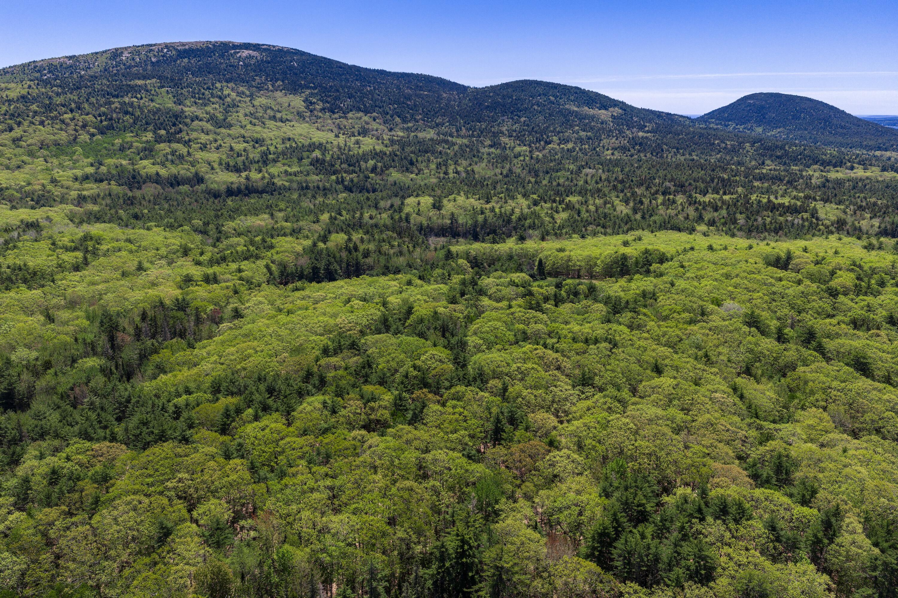 108 Stanley Mountain Road Property Photo 12