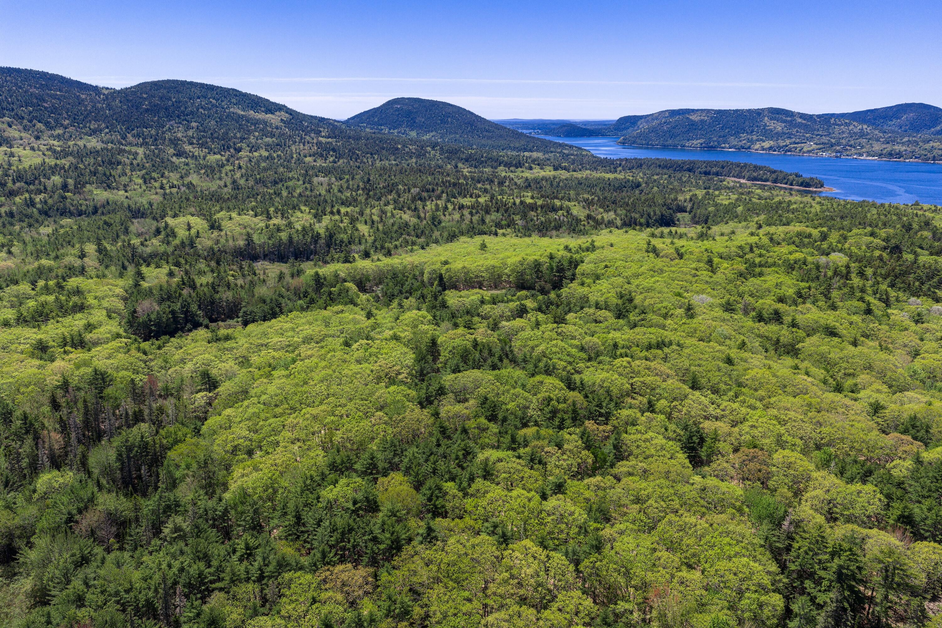 108 Stanley Mountain Road Property Photo 16