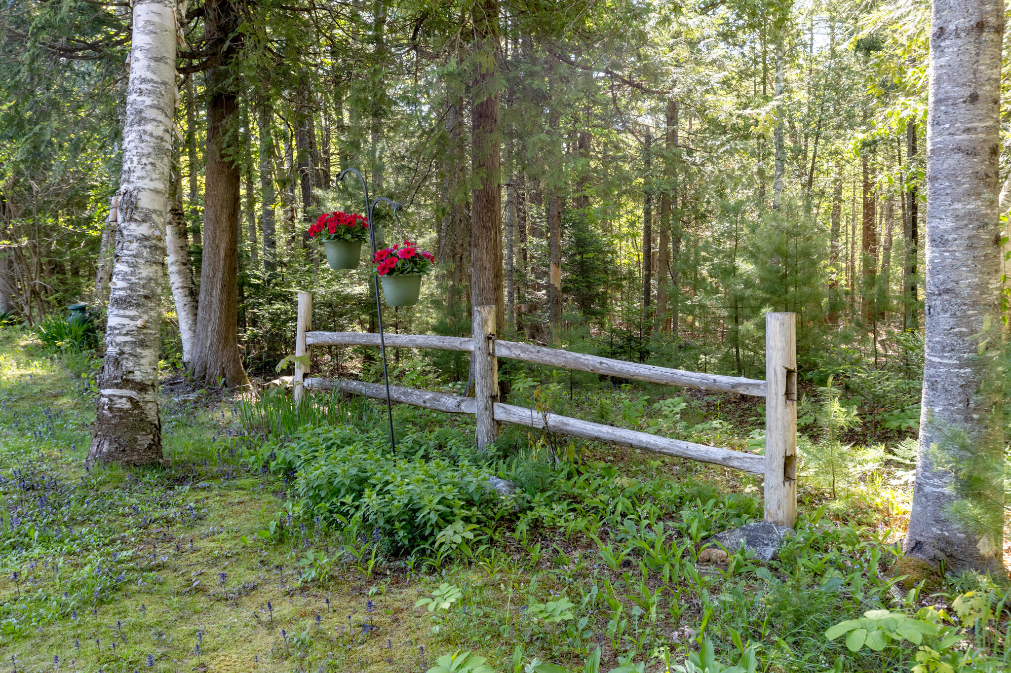 134 E Bucksport Road Property Photo 48