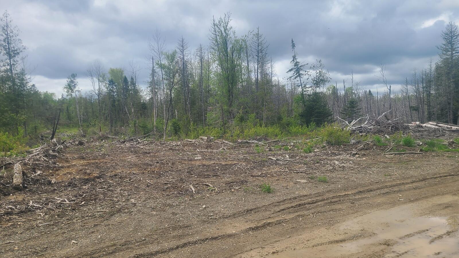 005-003-c Grendell Road Property Photo 4