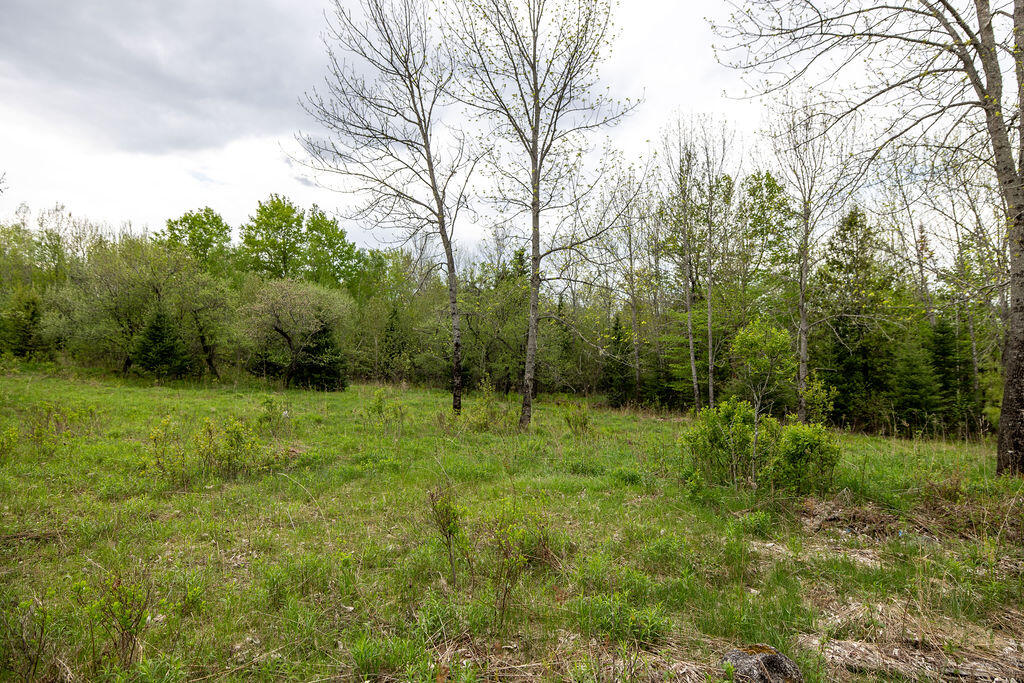 Lots 13-10 Dore Hill Road Property Photo 40