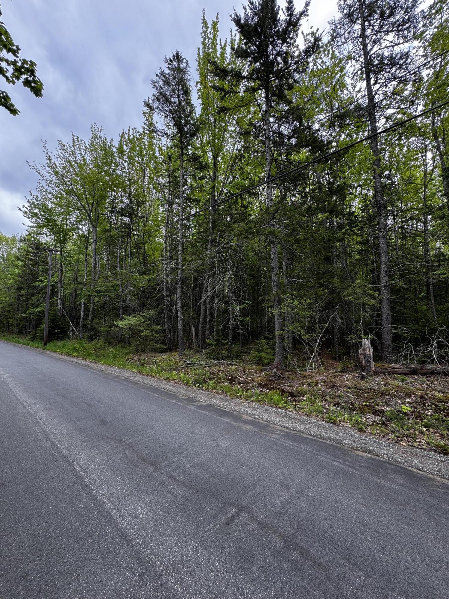 Lot 0 Hadley Point Road Property Photo 4