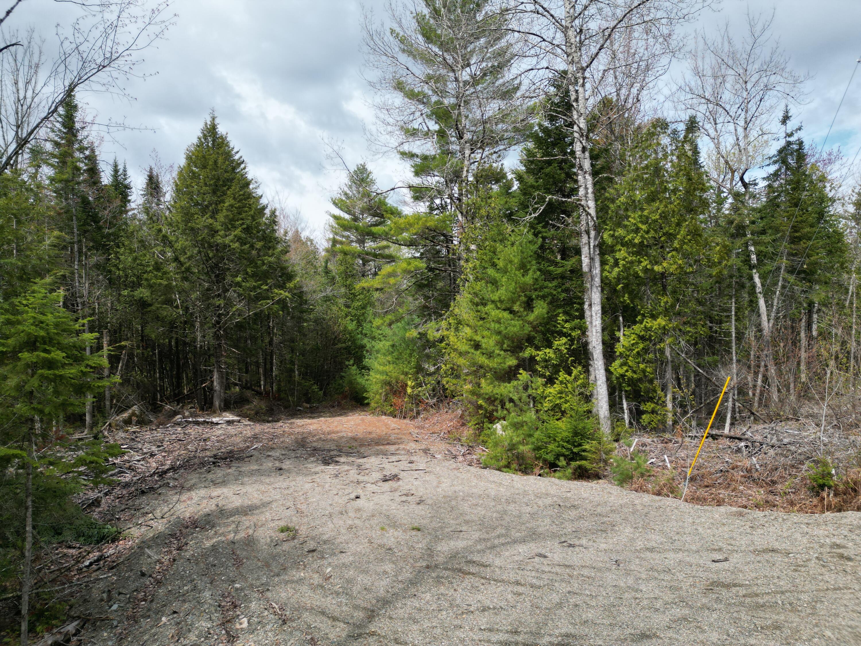 20 Twin Springs Lane Property Photo 1