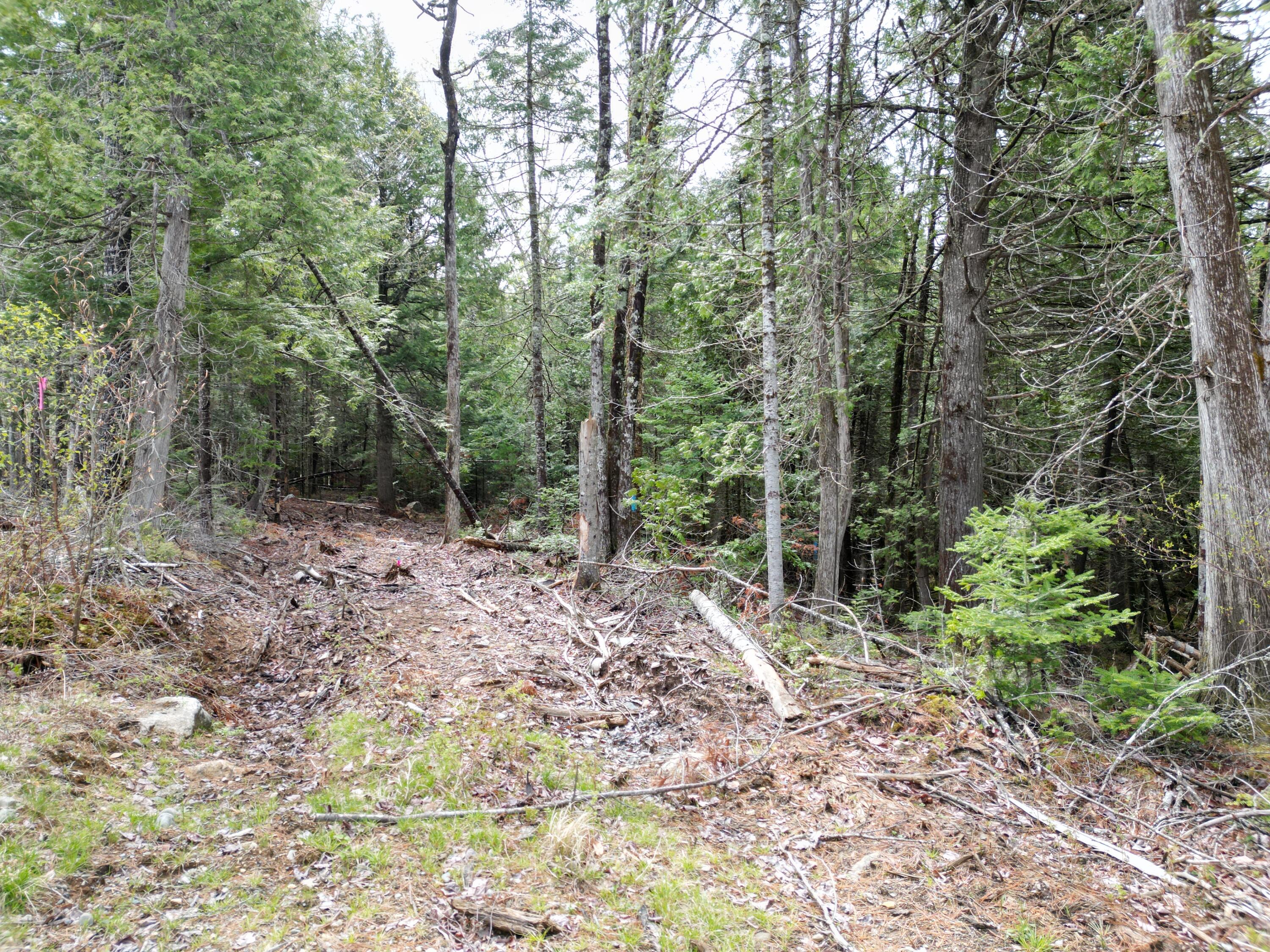 20 Twin Springs Lane Property Photo 6
