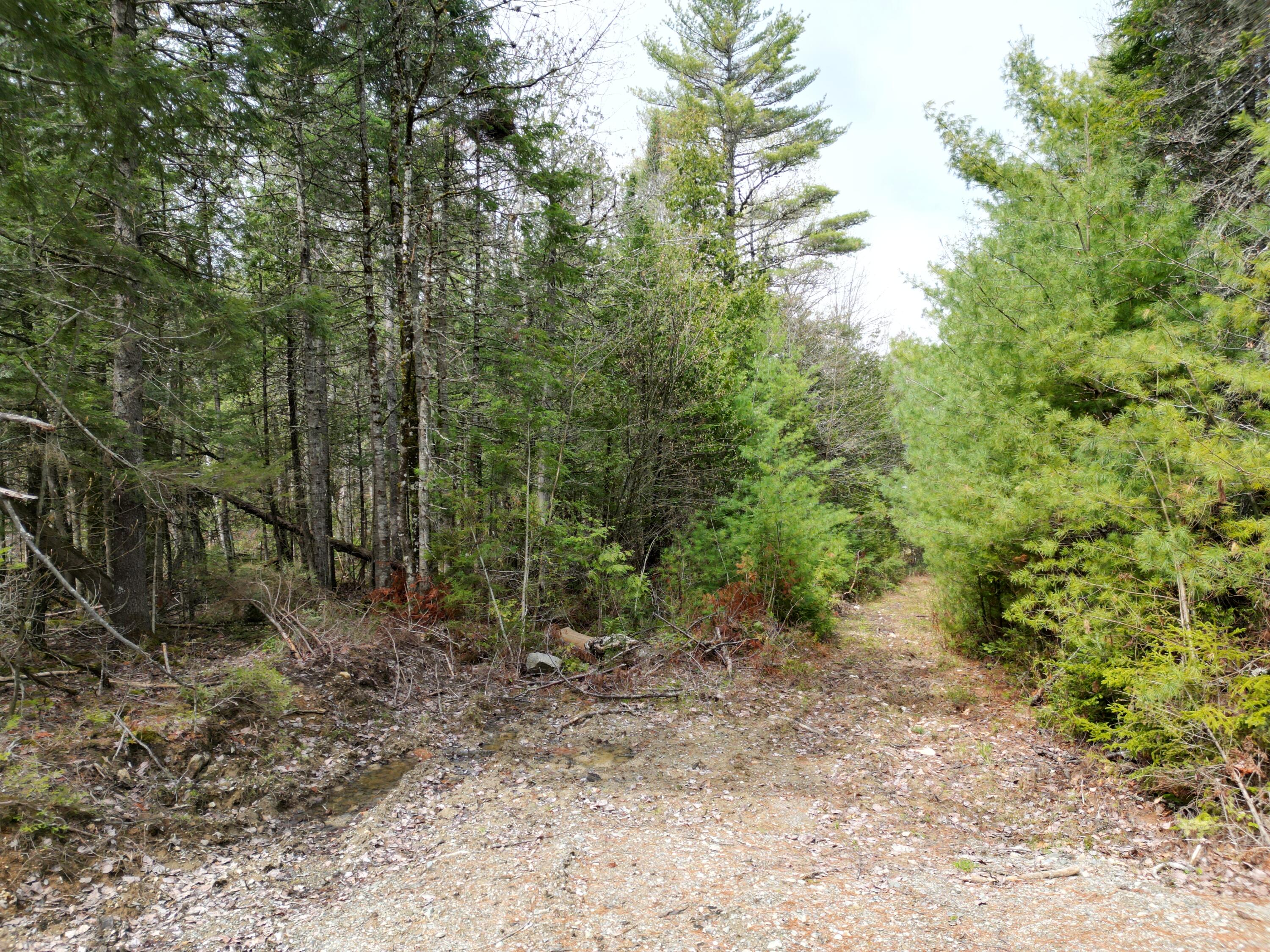 20 Twin Springs Lane Property Photo 13