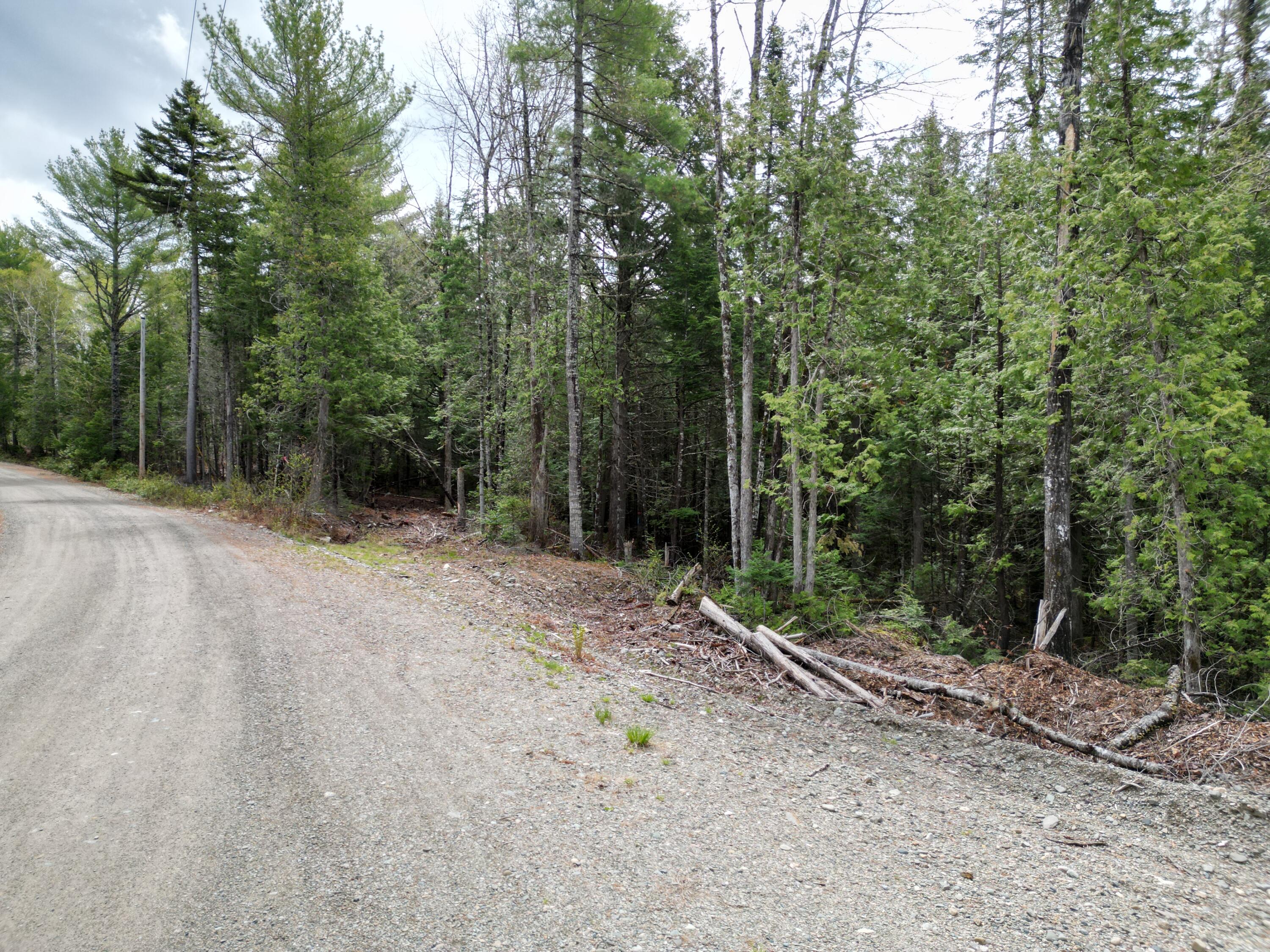 20 Twin Springs Lane Property Photo 14