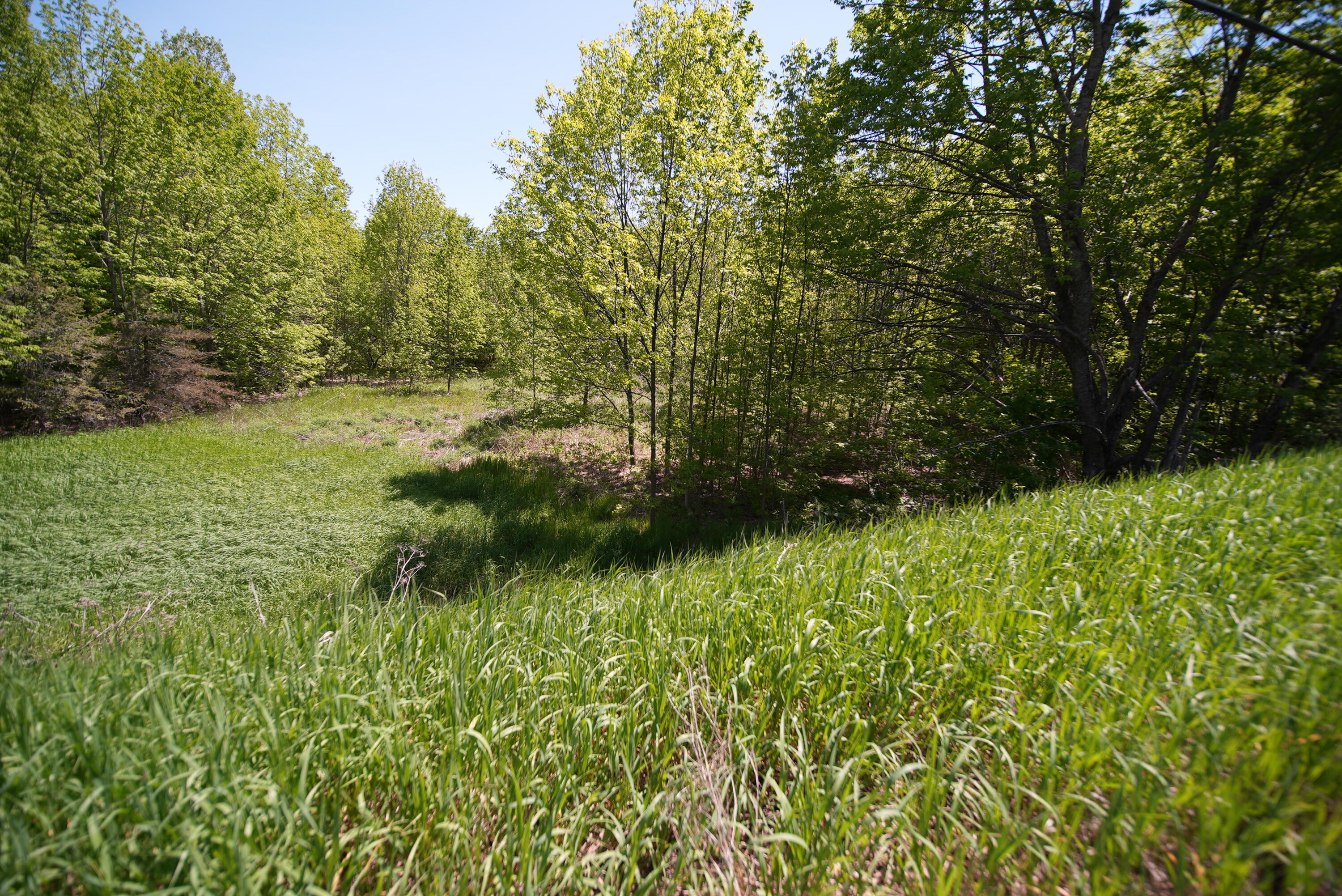 Lot 30 Us Route 1 Property Photo 7