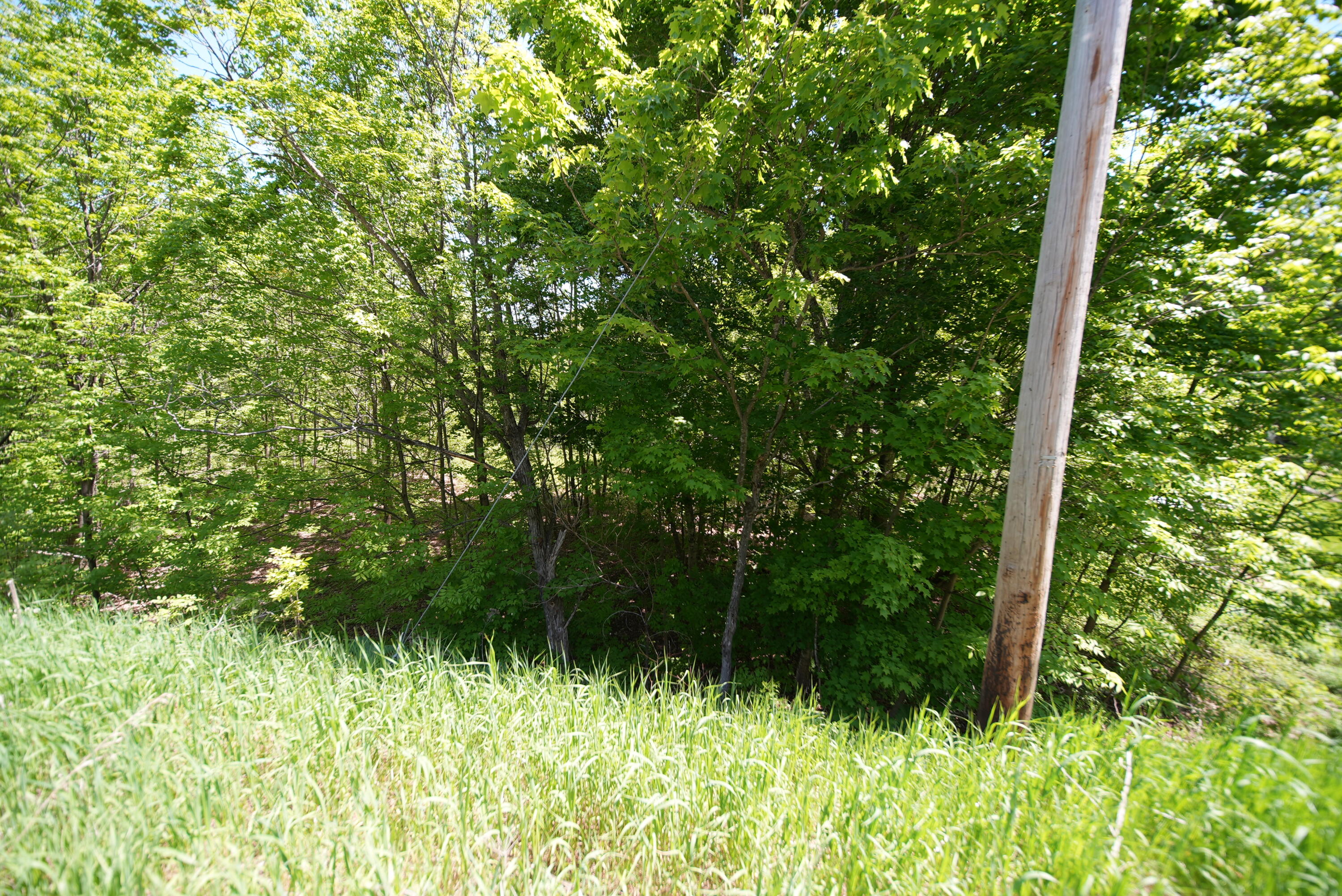 Lot 30 Us Route 1 Property Photo 9