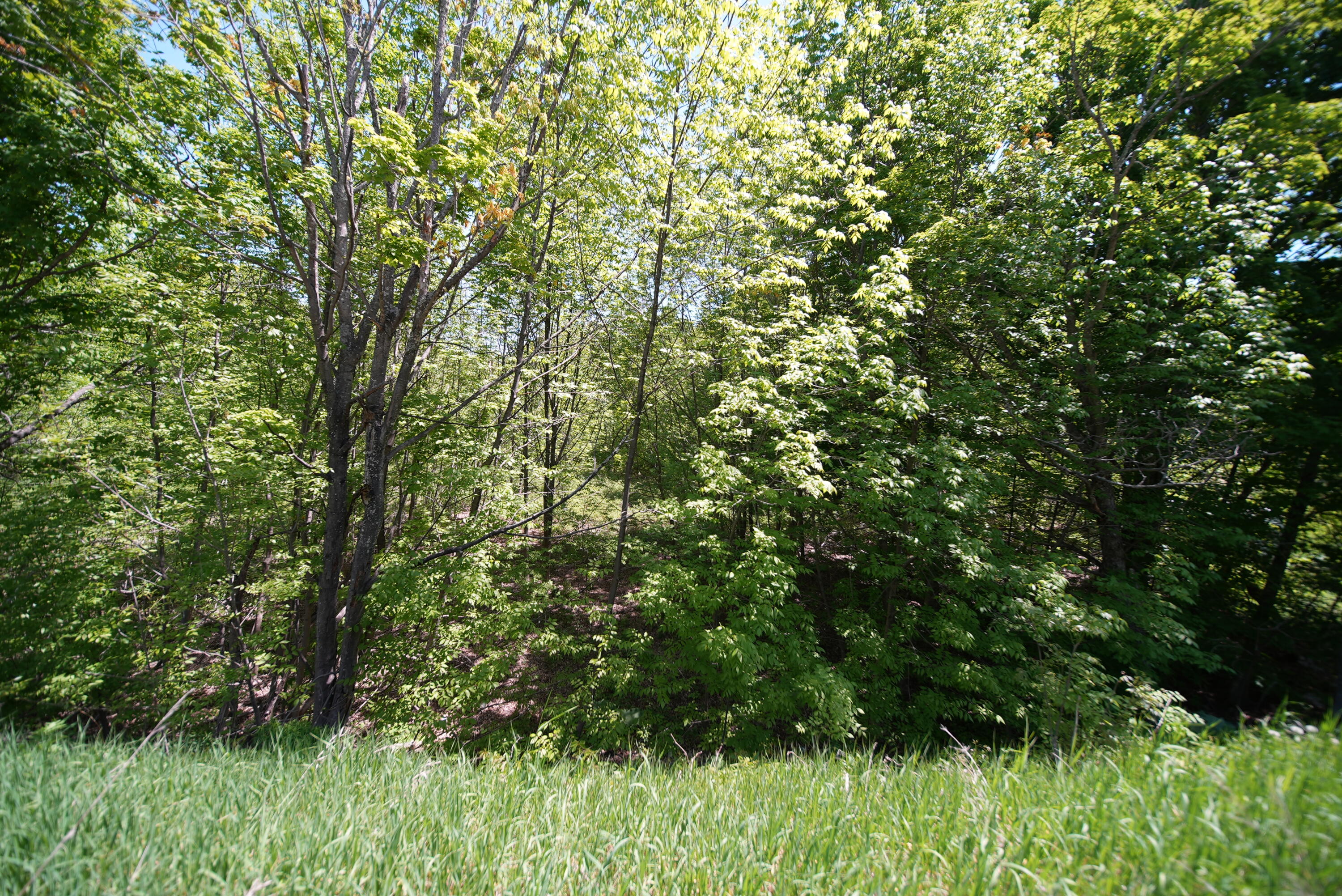 Lot 30 Us Route 1 Property Photo 10