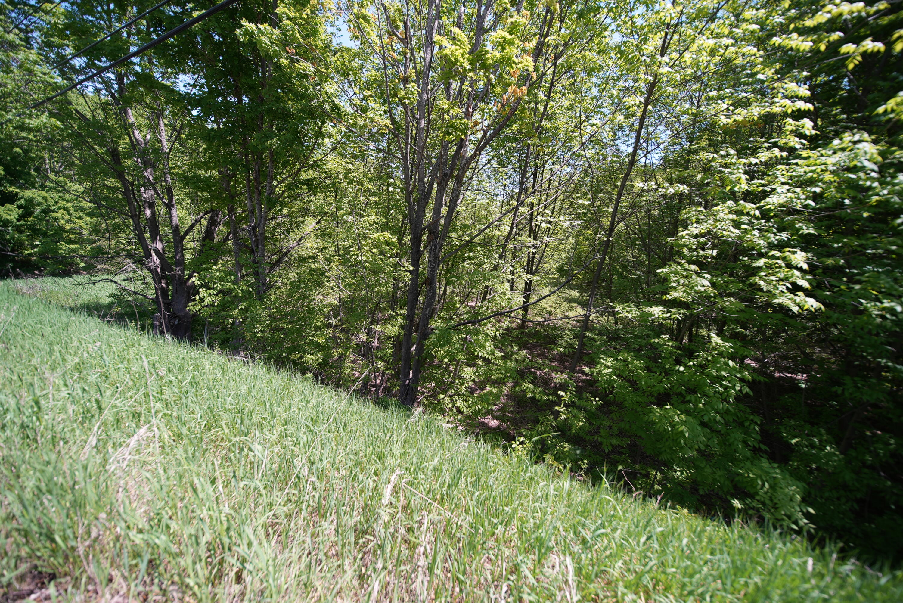 Lot 30 Us Route 1 Property Photo 11
