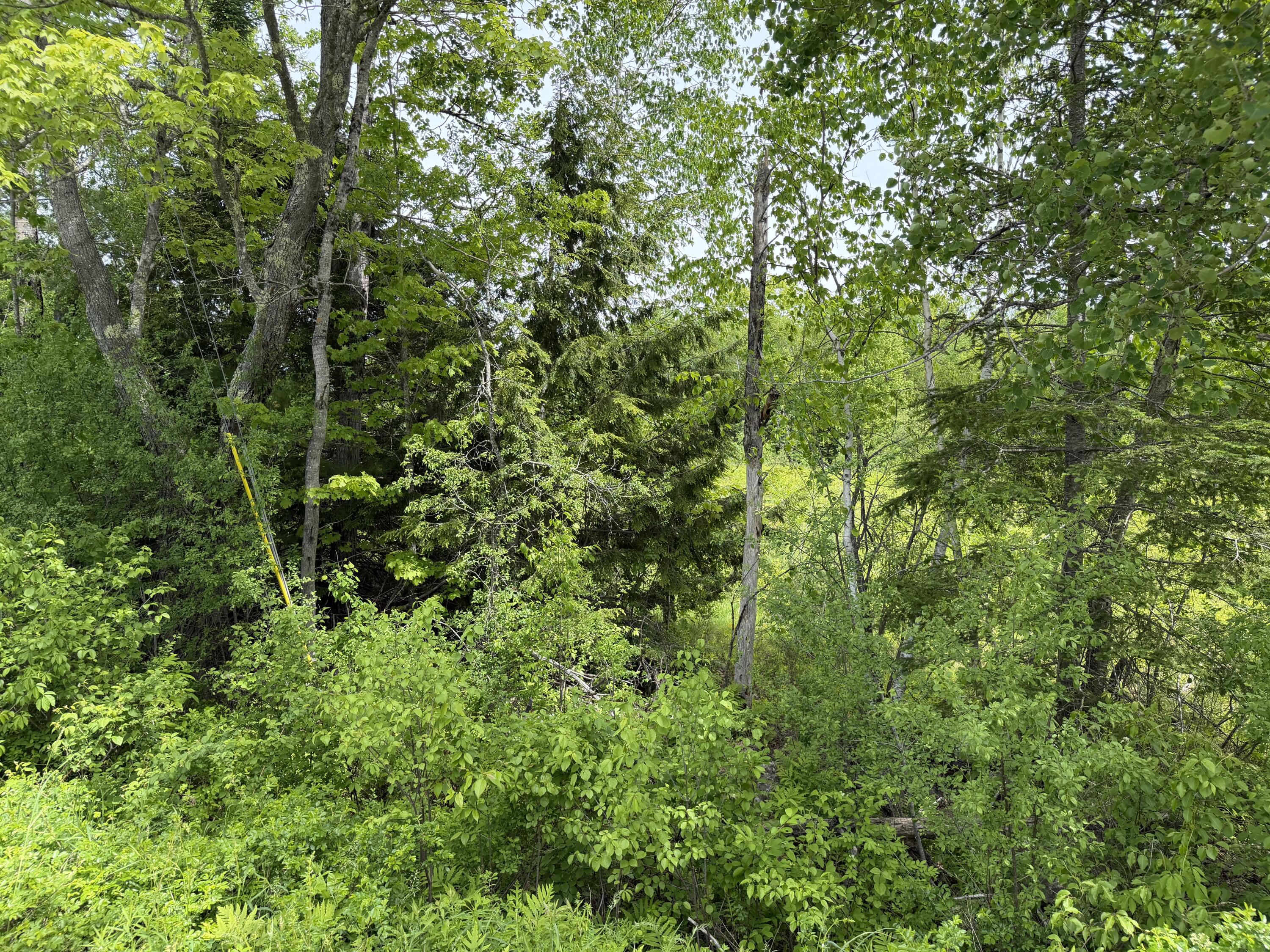 Lot 3 Cross Road Property Photo 5