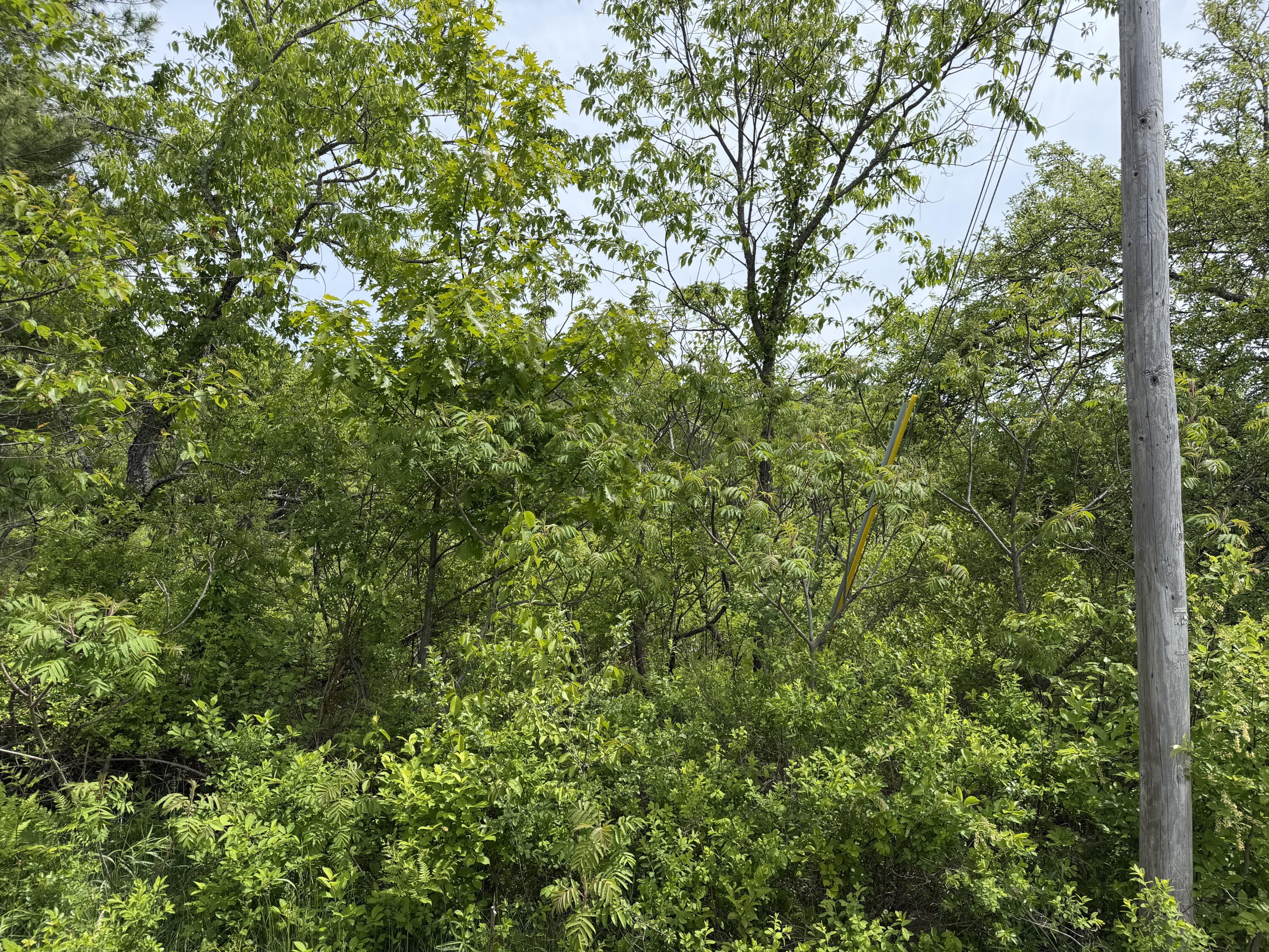 Lot 3 Cross Road Property Photo 6