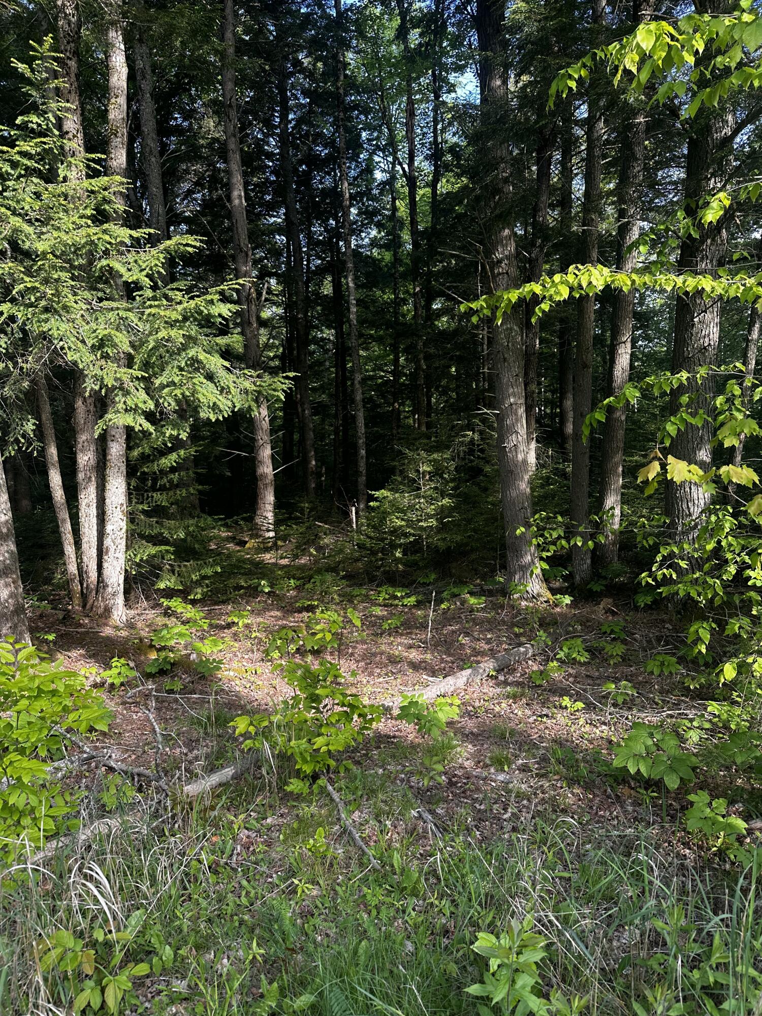 M25 L12-02 State Route 46 Property Photo 2