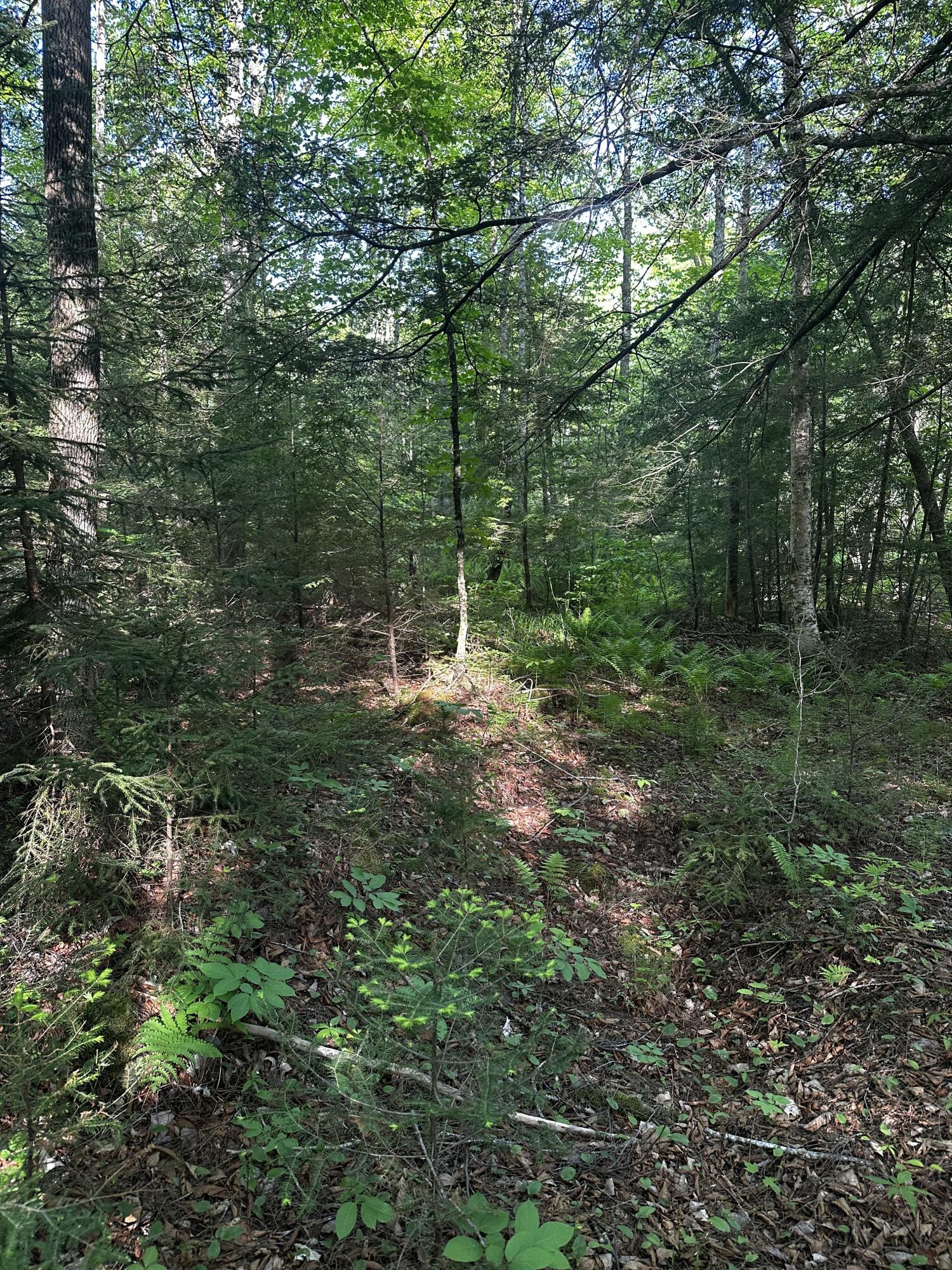 M25 L12-02 State Route 46 Property Photo 5