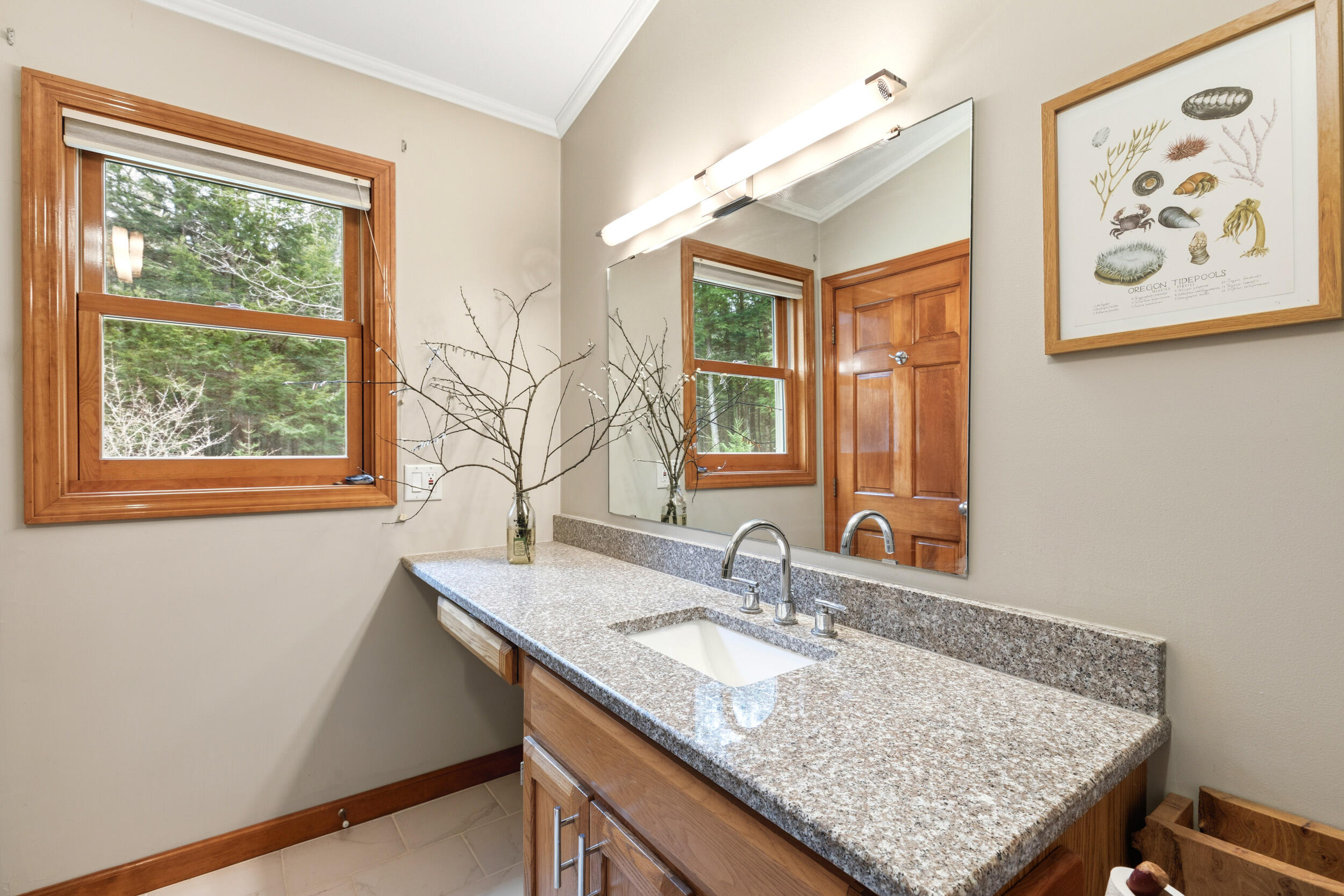 25 Jeffrey Woods Road Property Photo 23