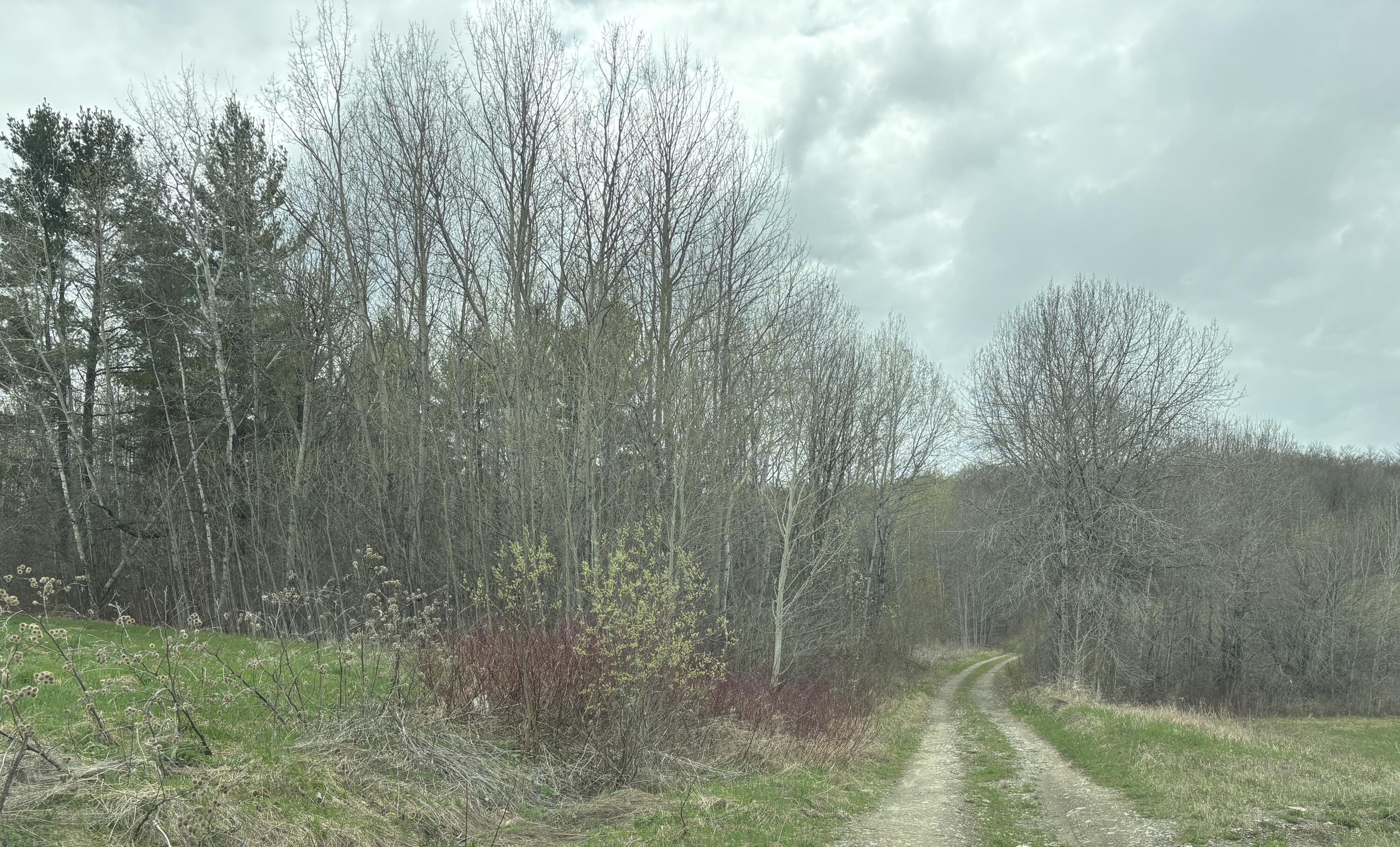 Lot 12 Off Conant (end Of Johnson Rd) Road Property Photo 6