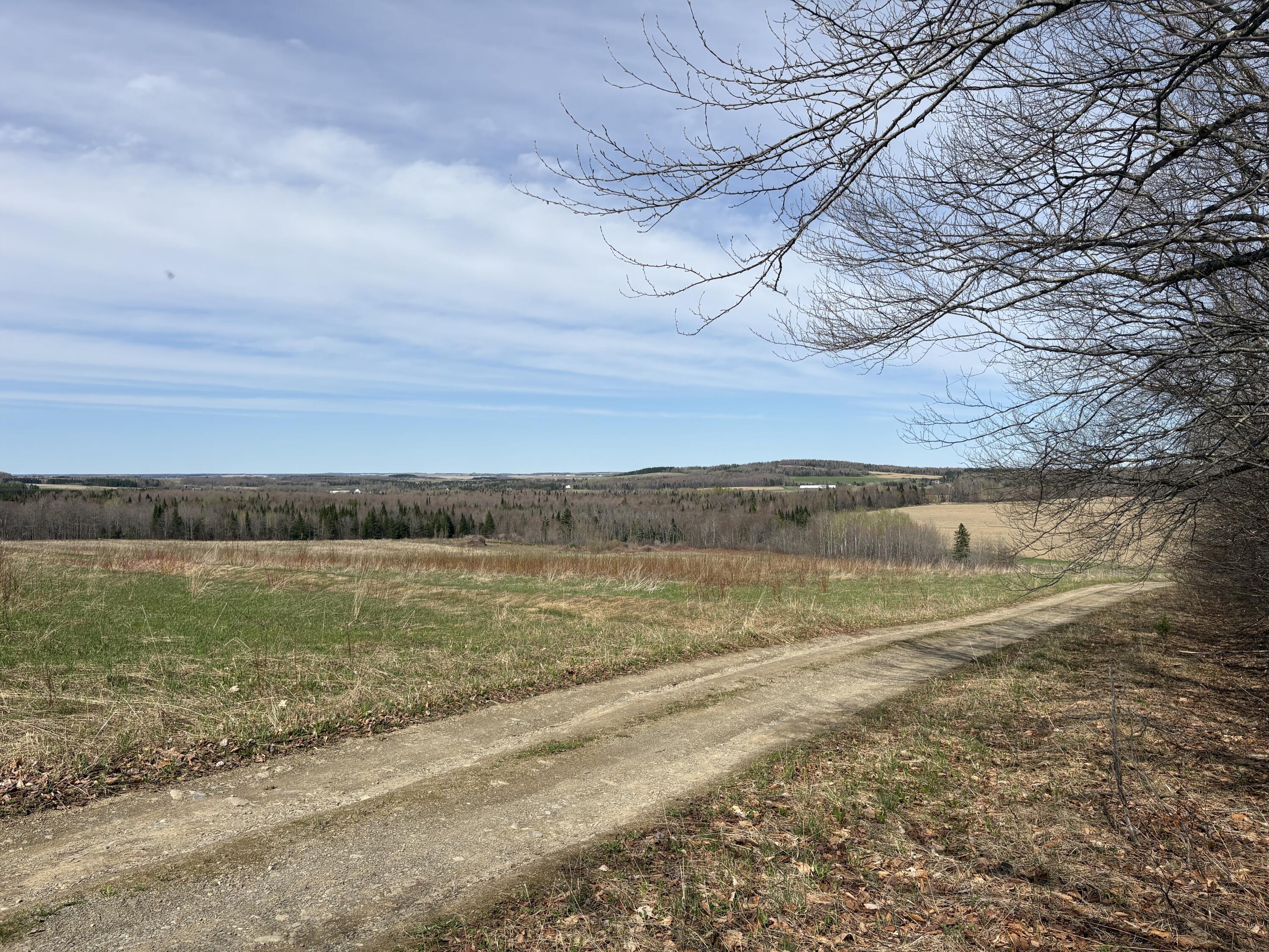 Lot 12 Off Conant (end Of Johnson Rd) Road Property Photo 9