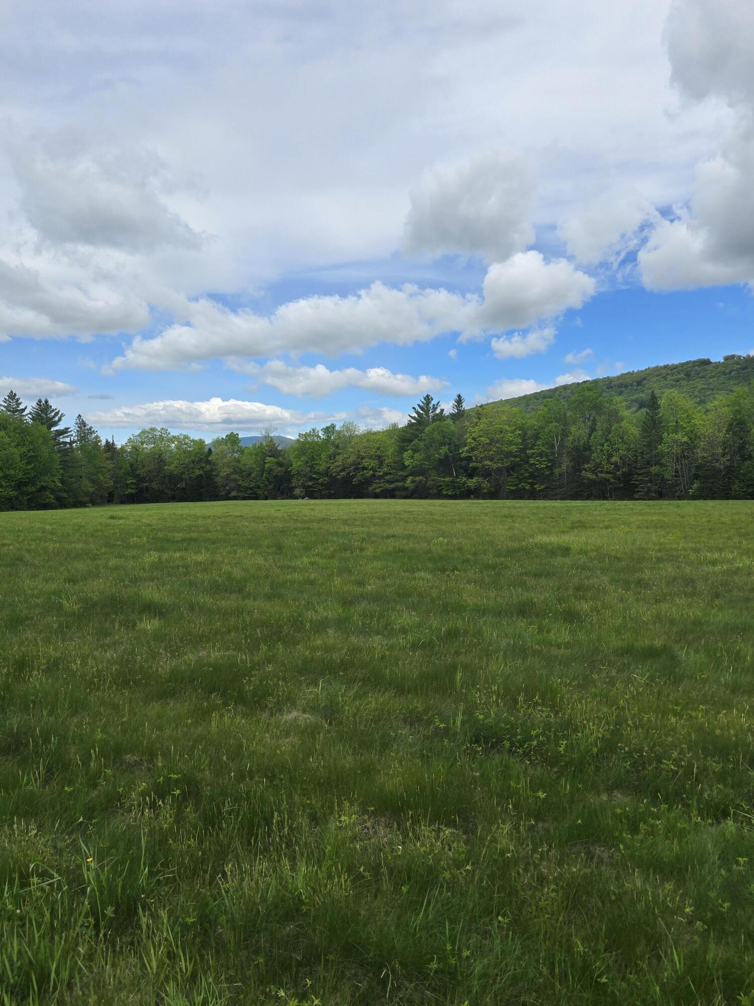 212 Mile Square Road Property Photo 4