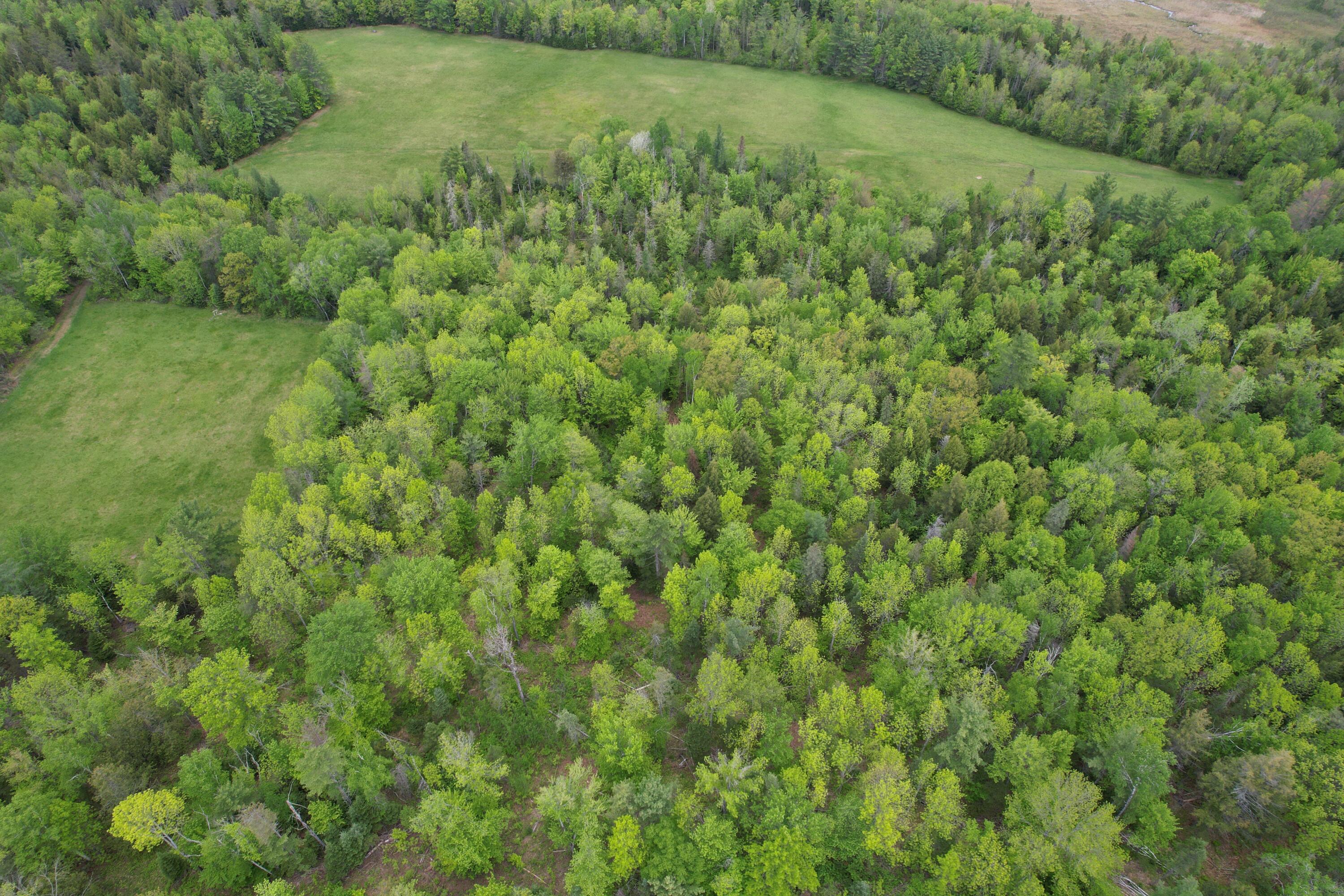 212 Mile Square Road Property Photo 15