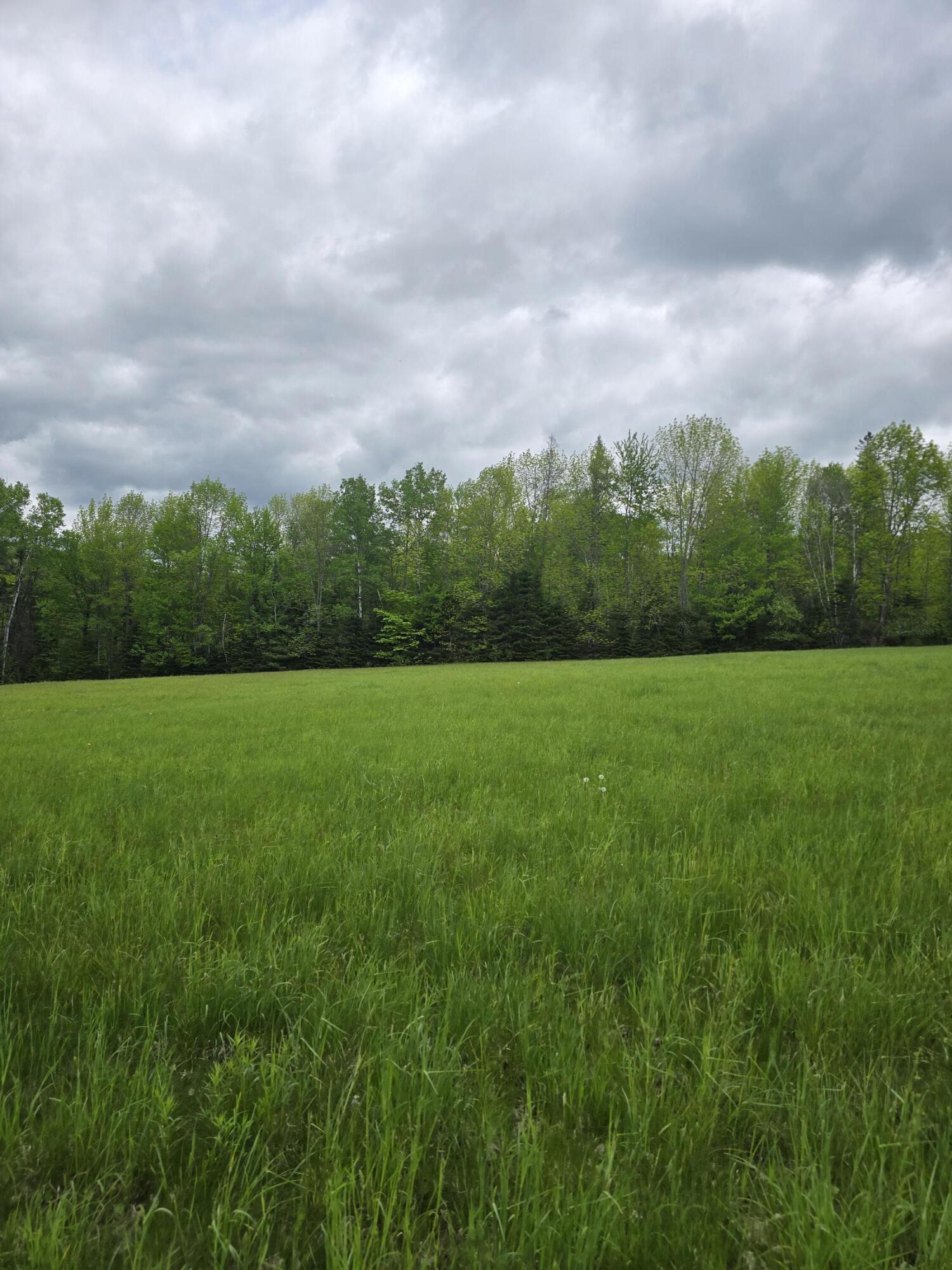212 Mile Square Road Property Photo 30