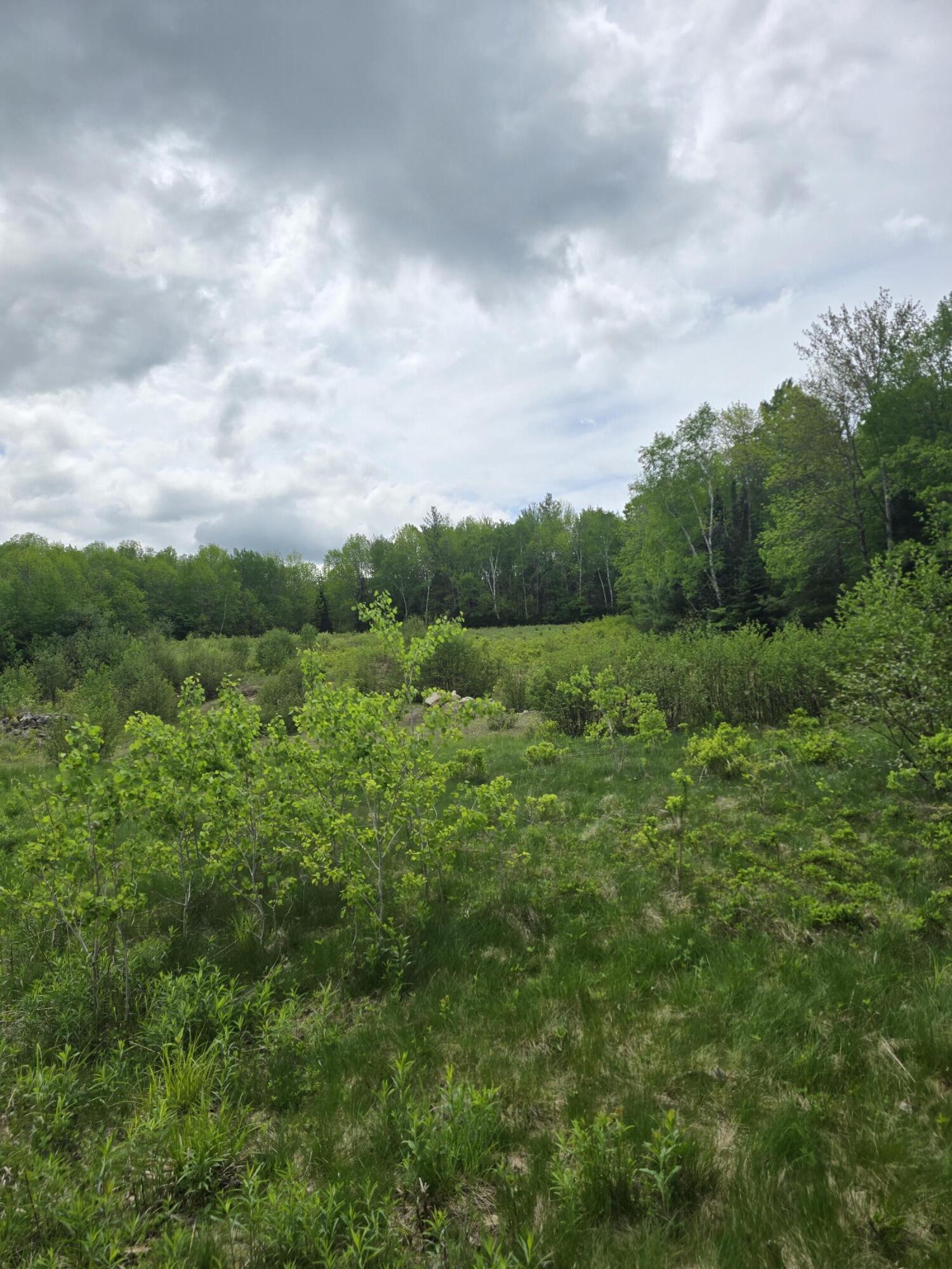 212 Mile Square Road Property Photo 31