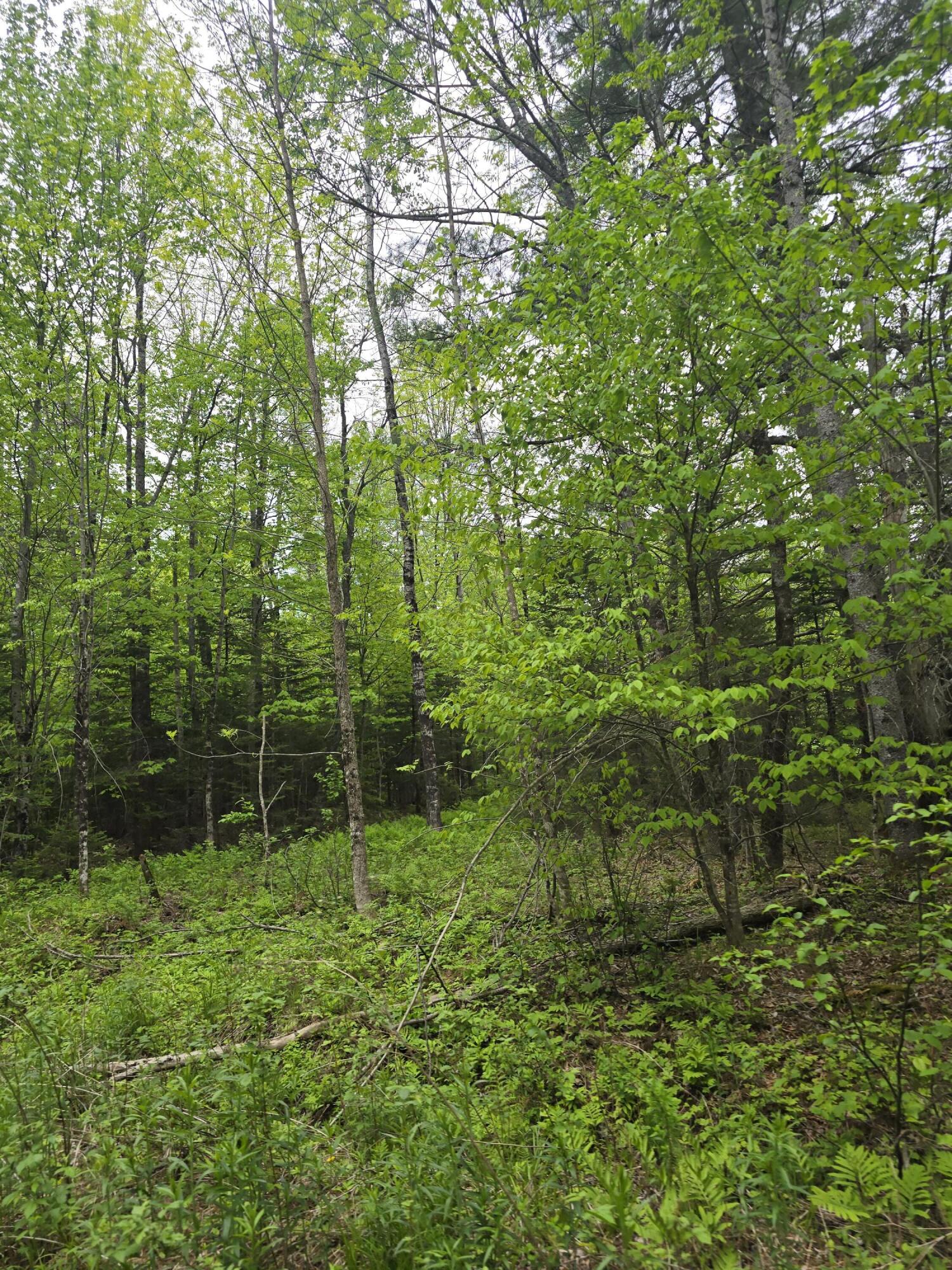 212 Mile Square Road Property Photo 32