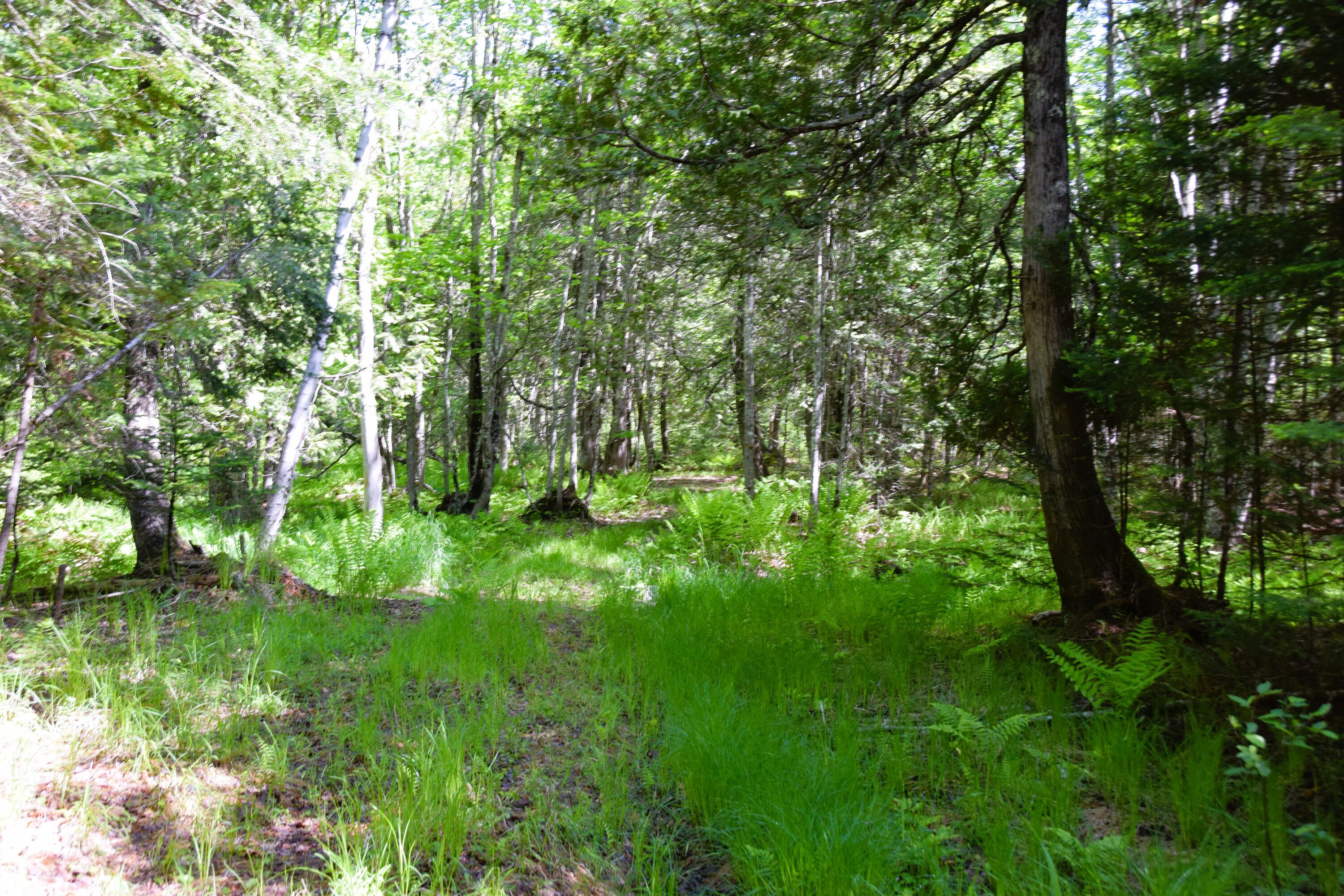 M10 L30 9 & 9a Birch Lane Property Photo 8