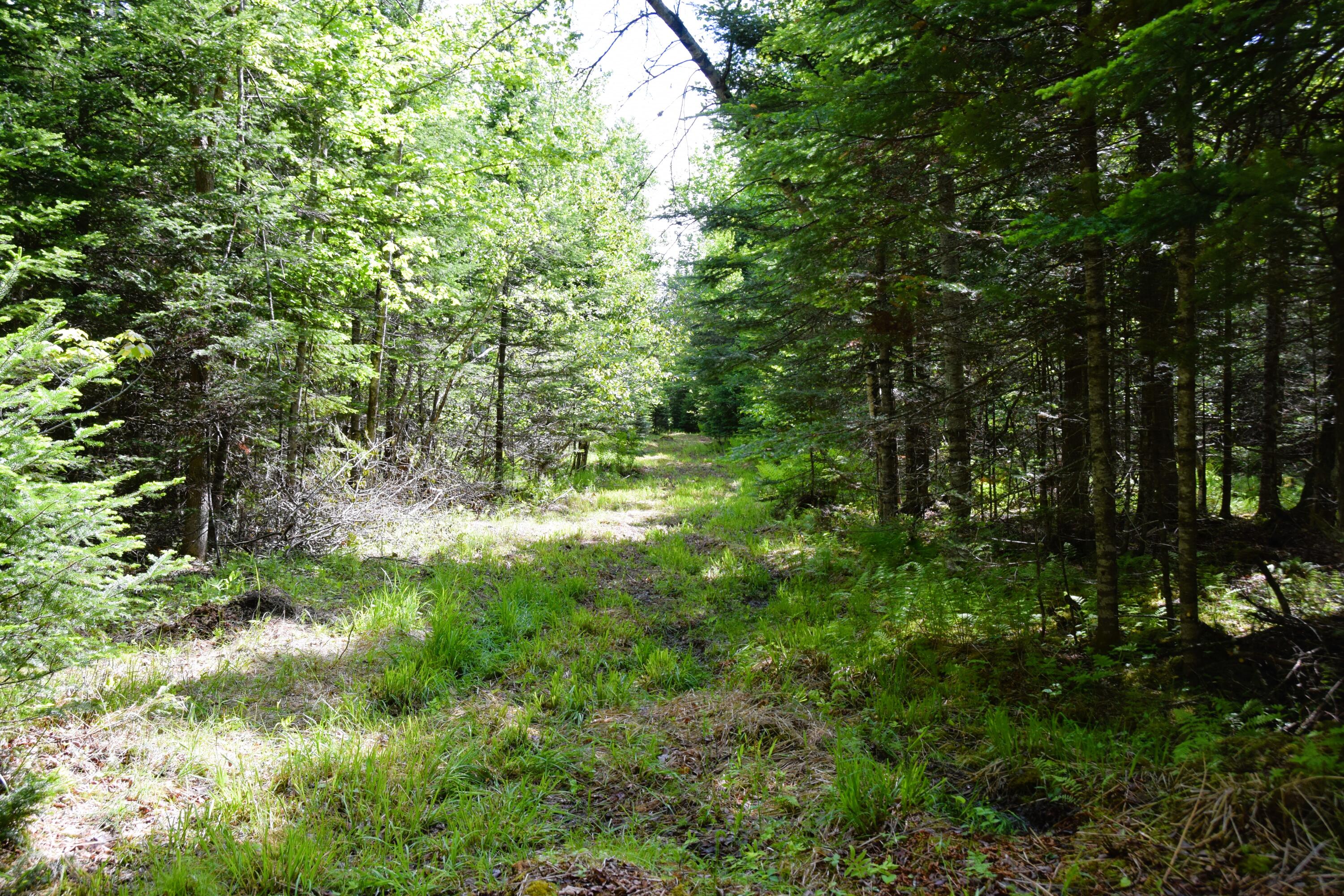M10 L30 9 & 9a Birch Lane Property Photo 9