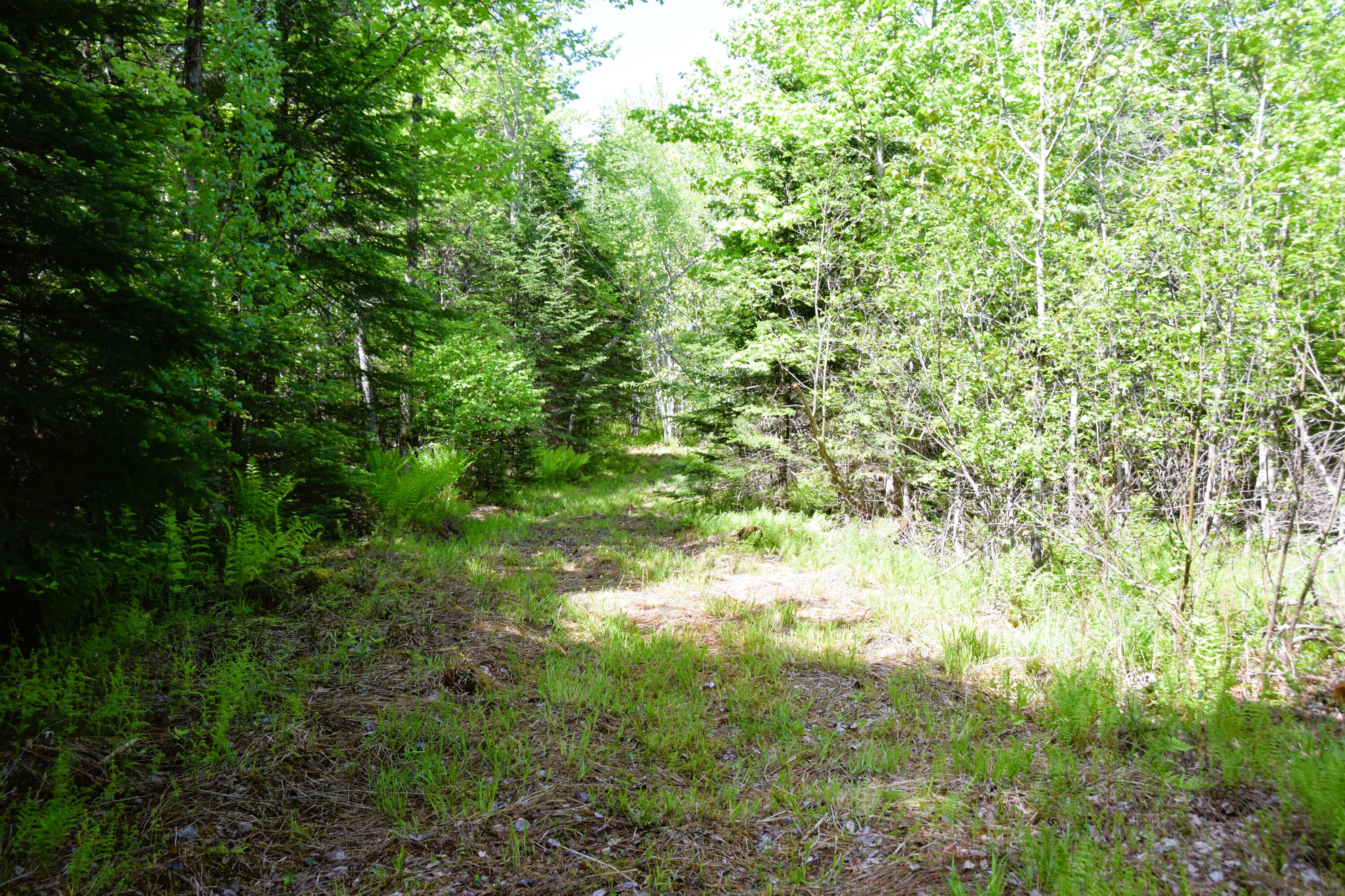 M10 L30 9 & 9a Birch Lane Property Photo 10